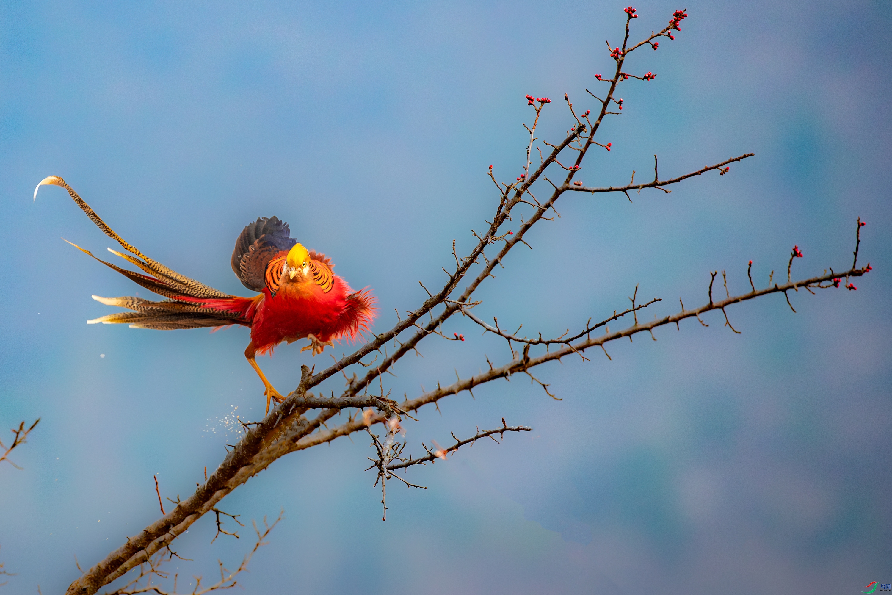 AY8I1005-����ǿ-NR ����.jpg