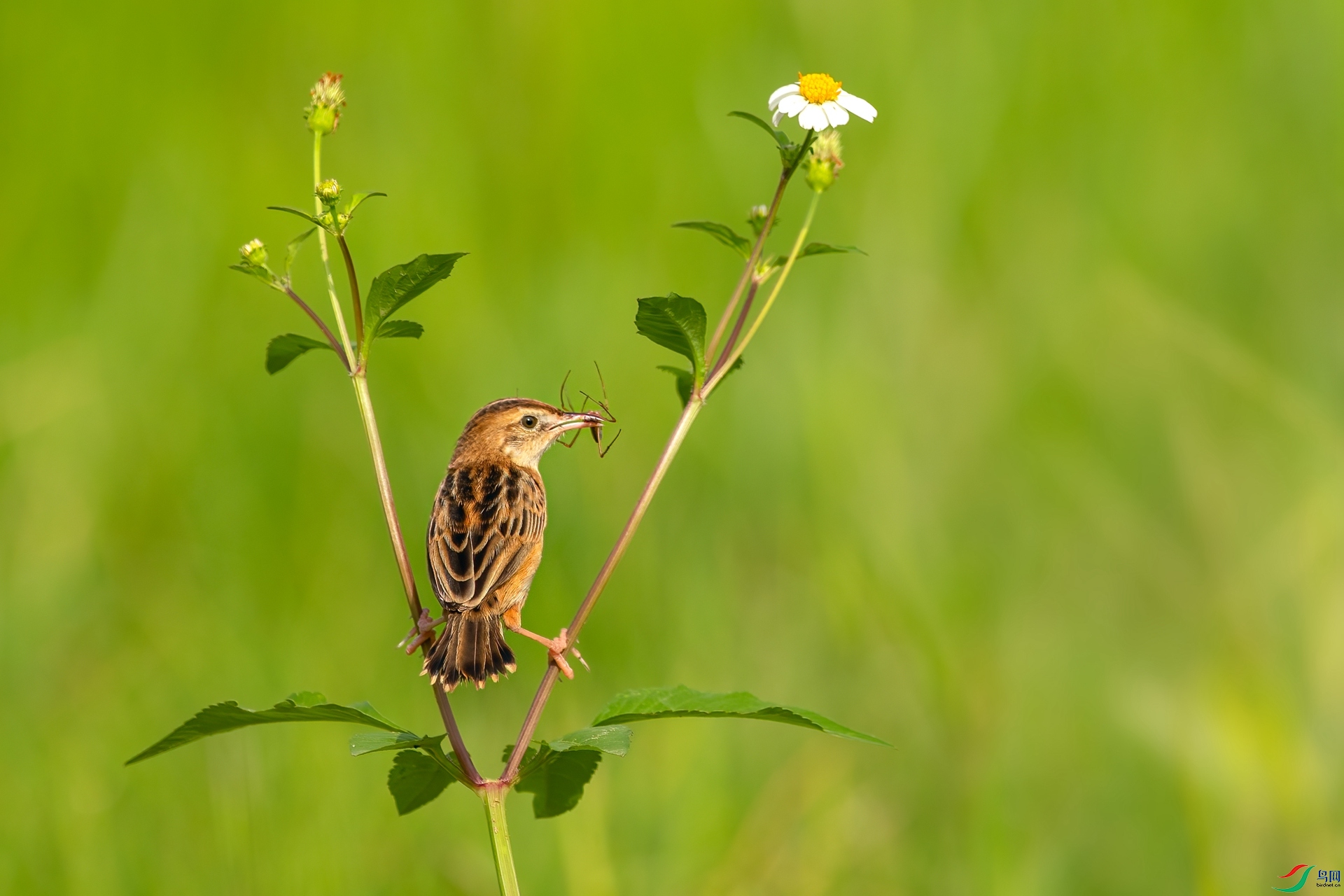 B86I1169 _����.jpg