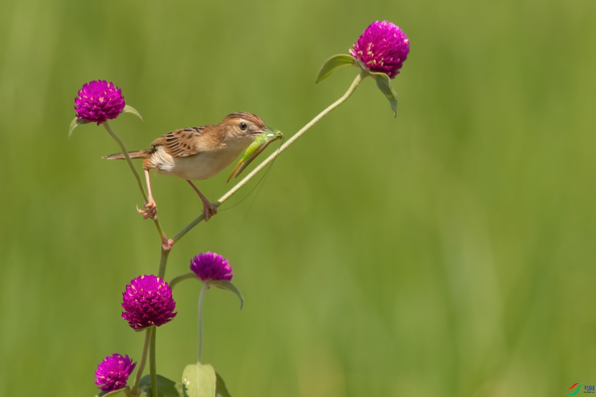 B86I5358 _����.jpg