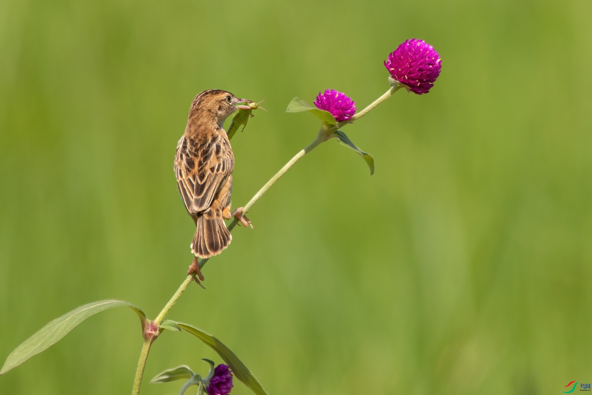 B86I5042 _����.jpg