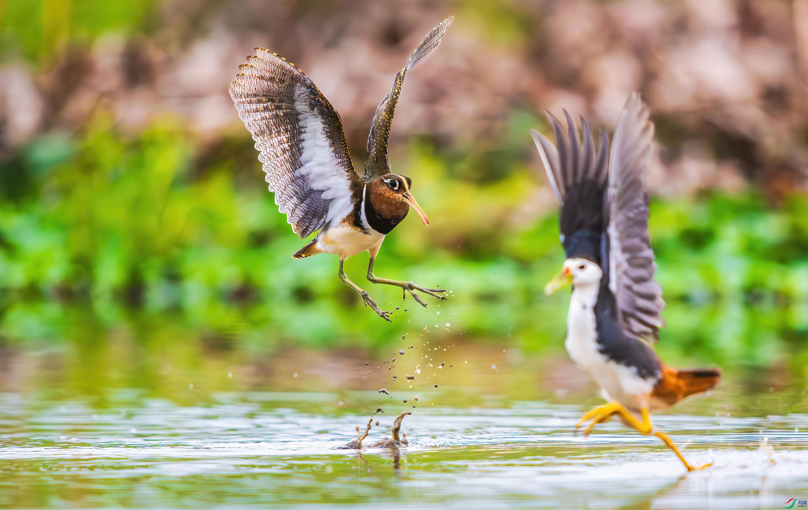 _DSC8379-����ǿ-NR_1 ����.jpg