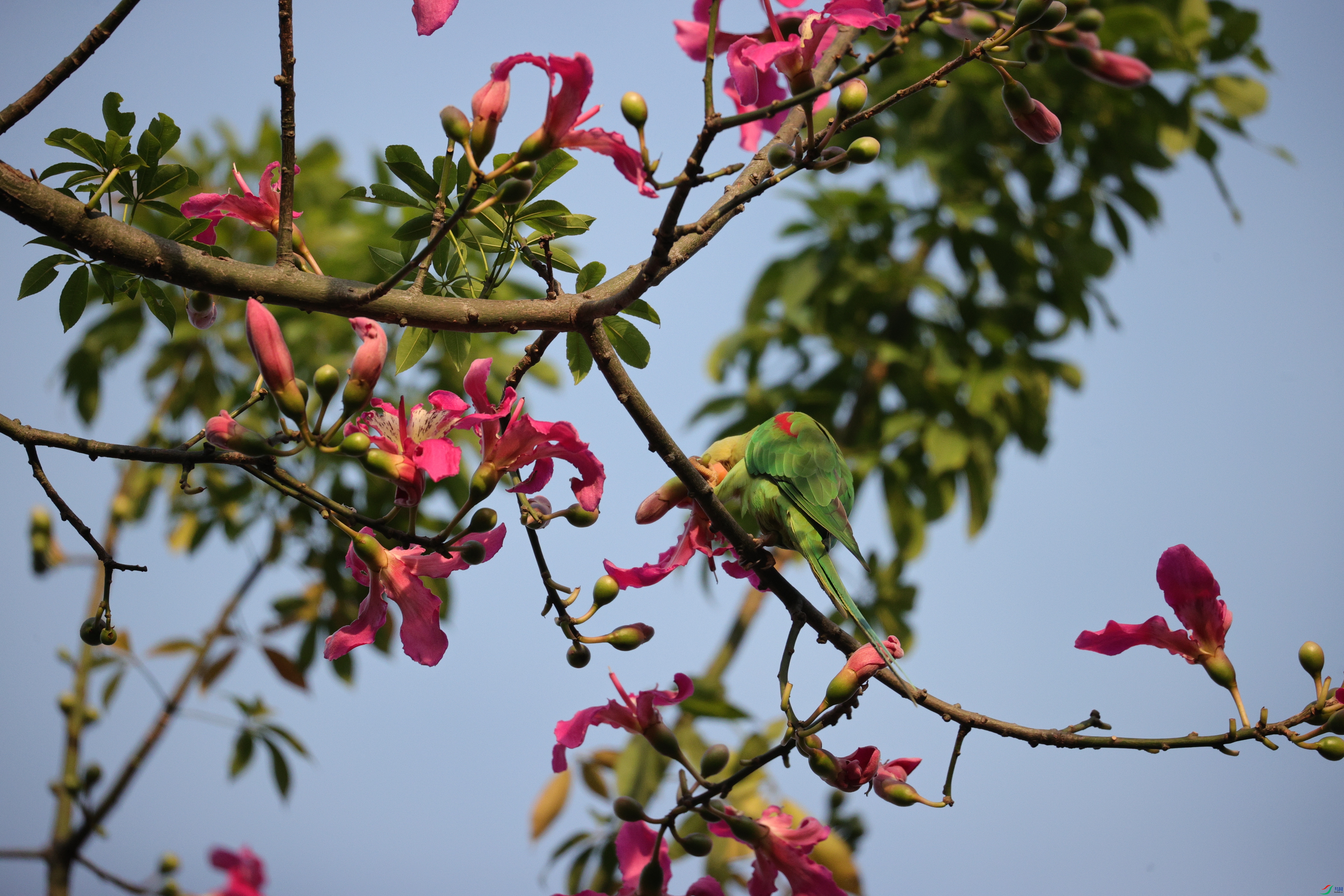 5507��ש����