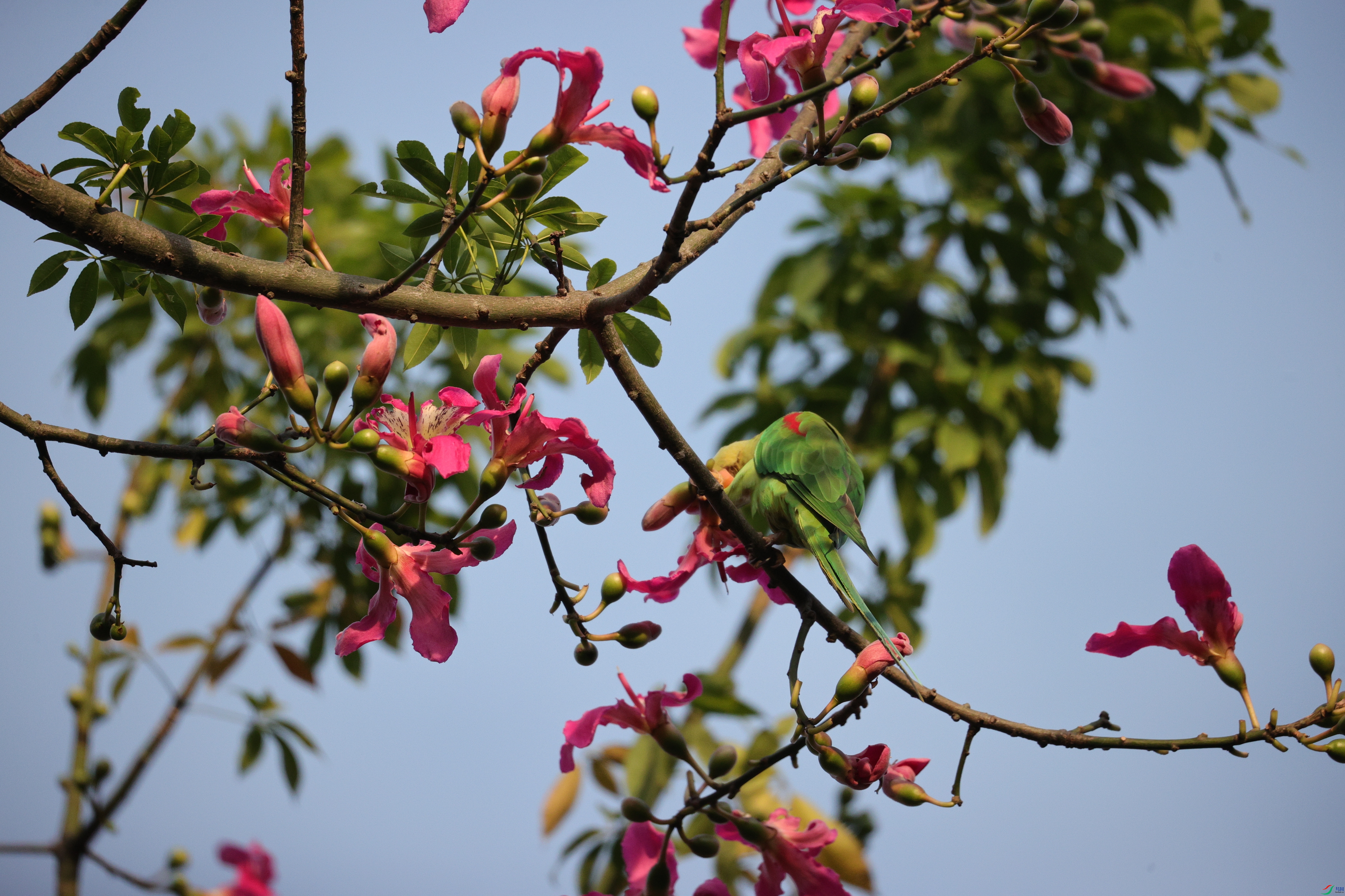 5509��ש����