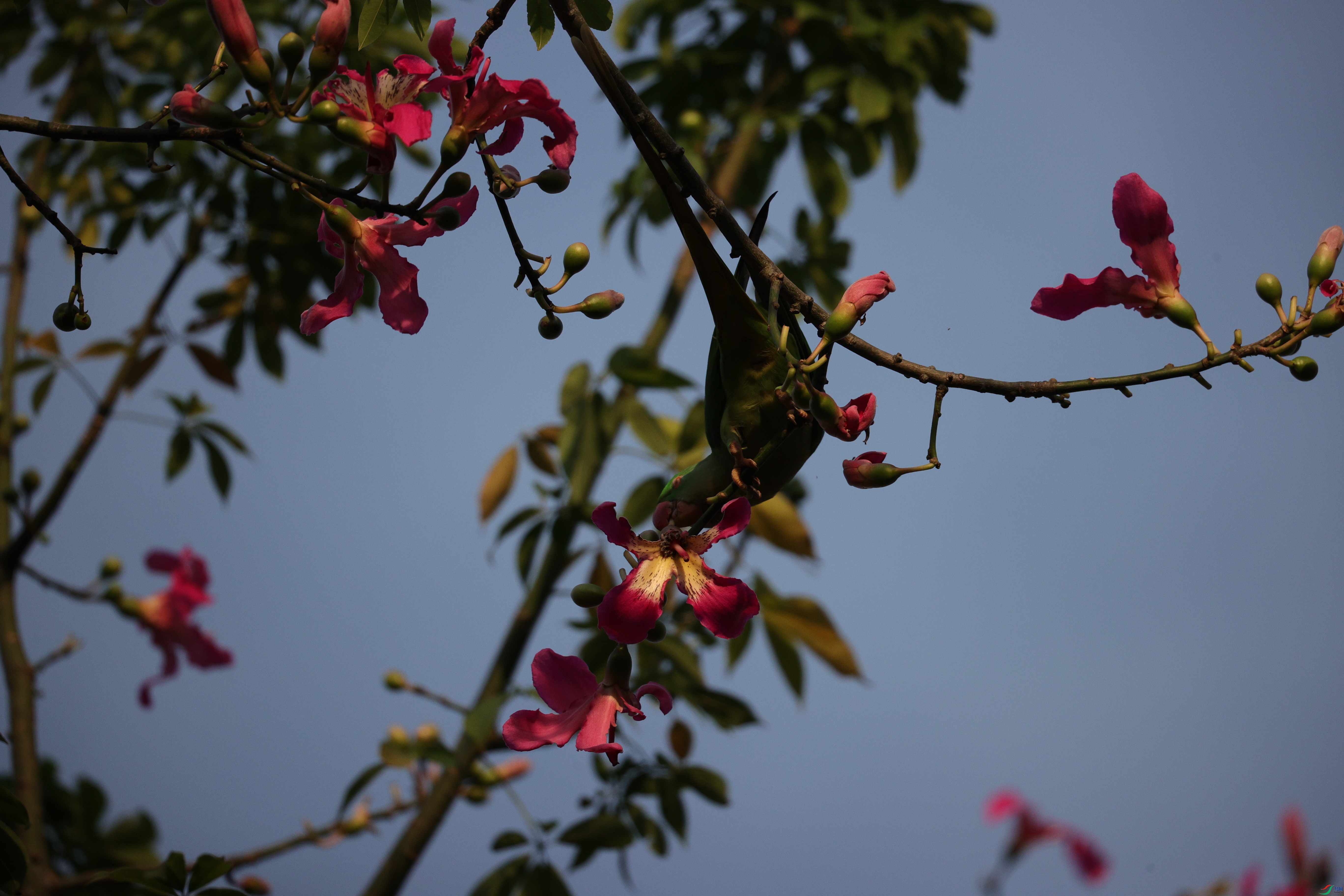 5513��ש����