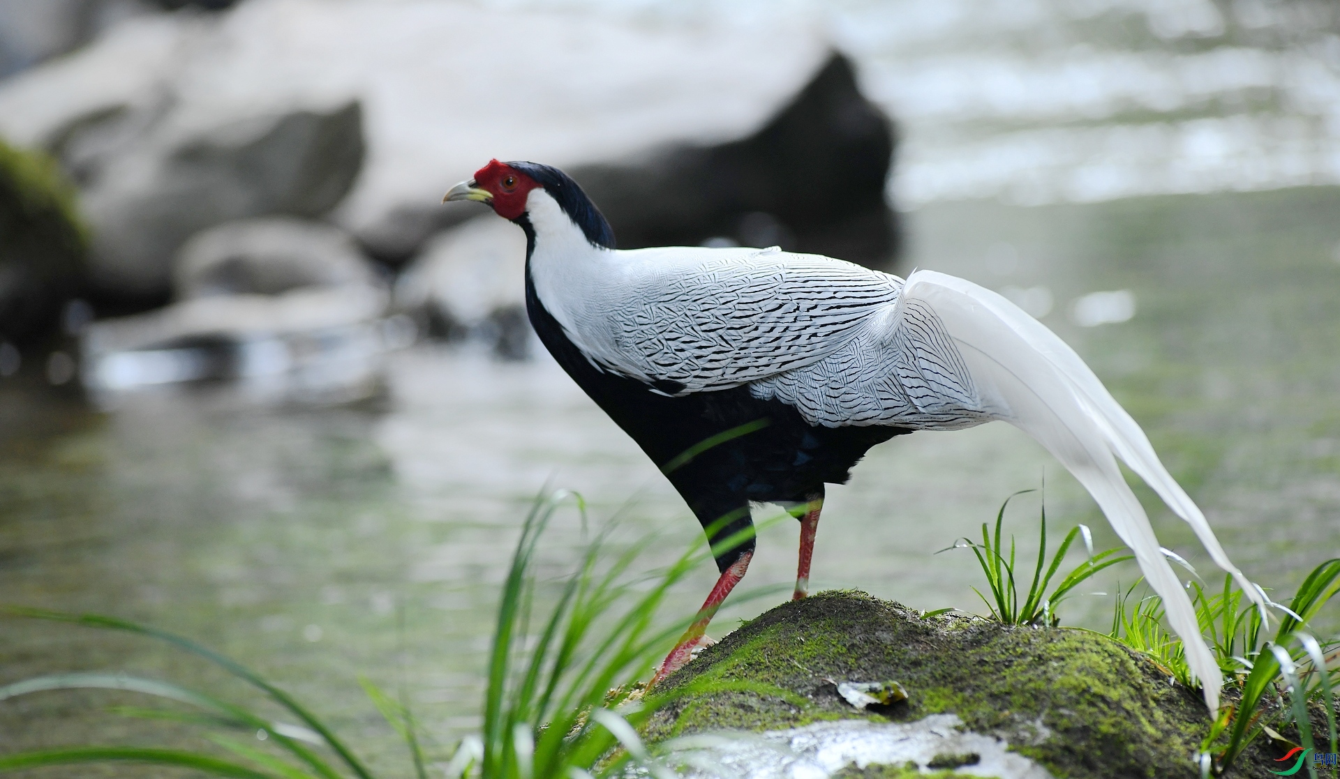 DSC_5928.jpg
