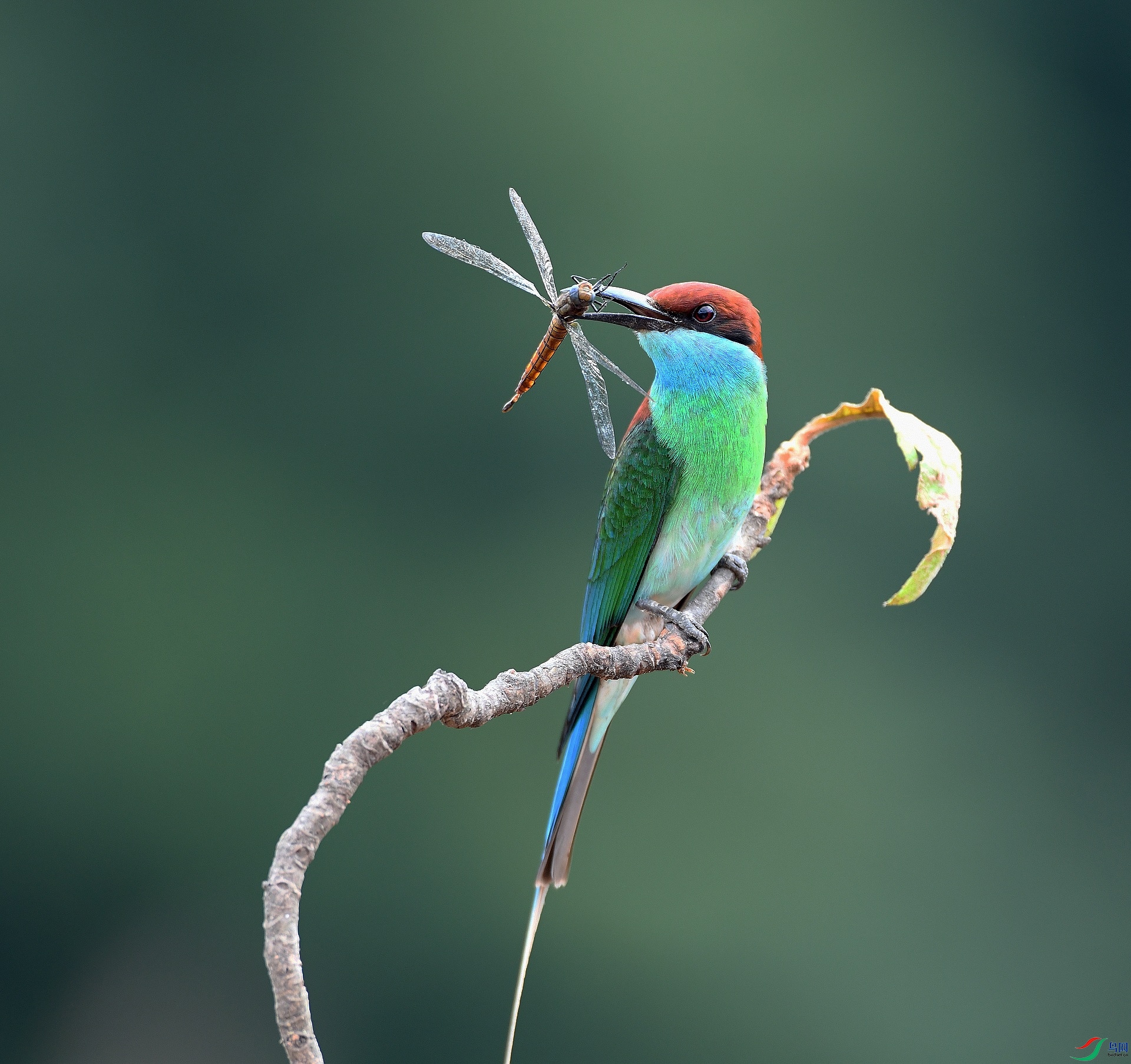 DSC_5929.jpg