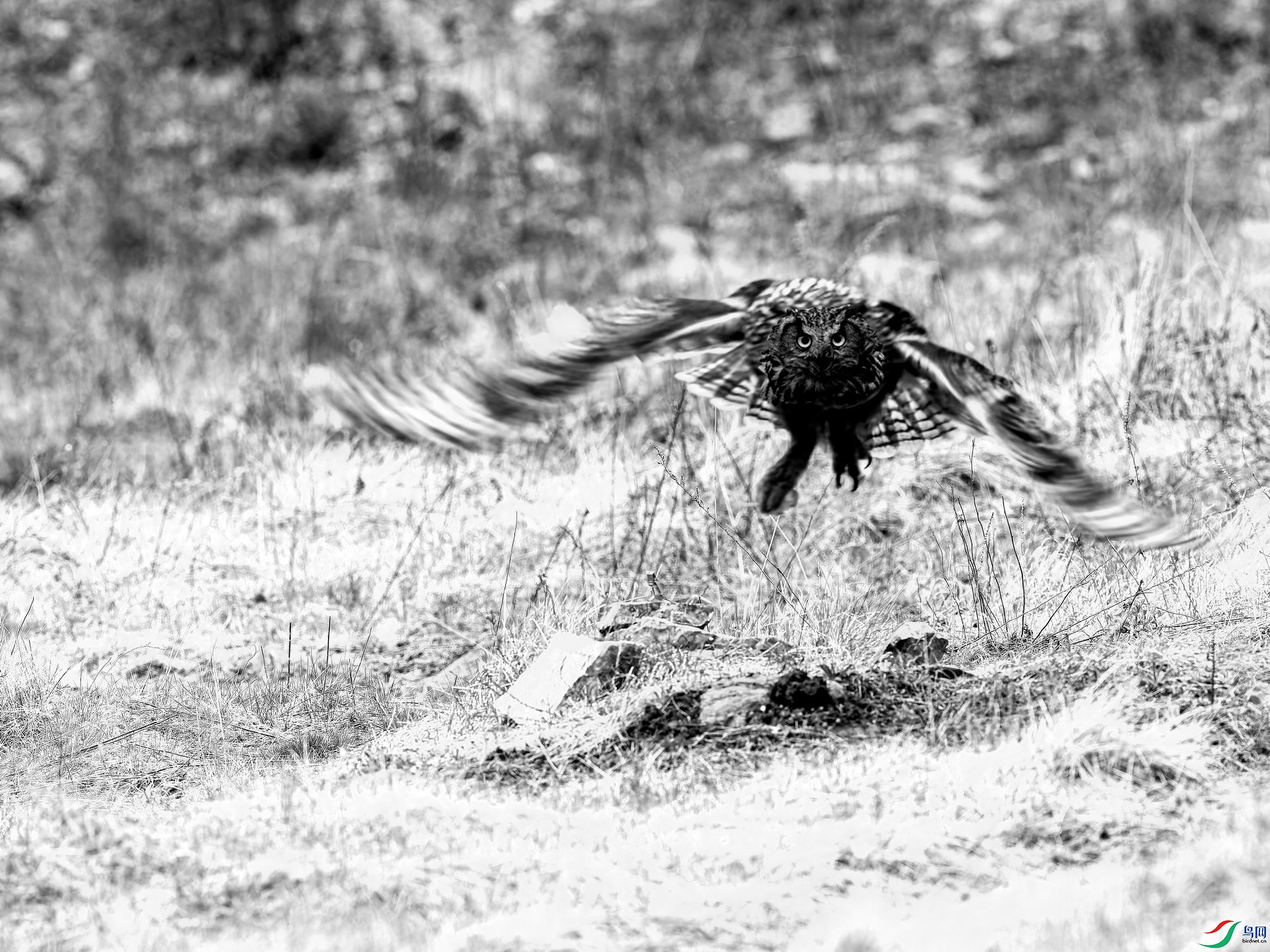 ���^ (5)-01.jpg