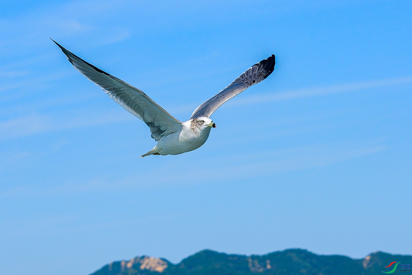 DSC_8609b.jpg