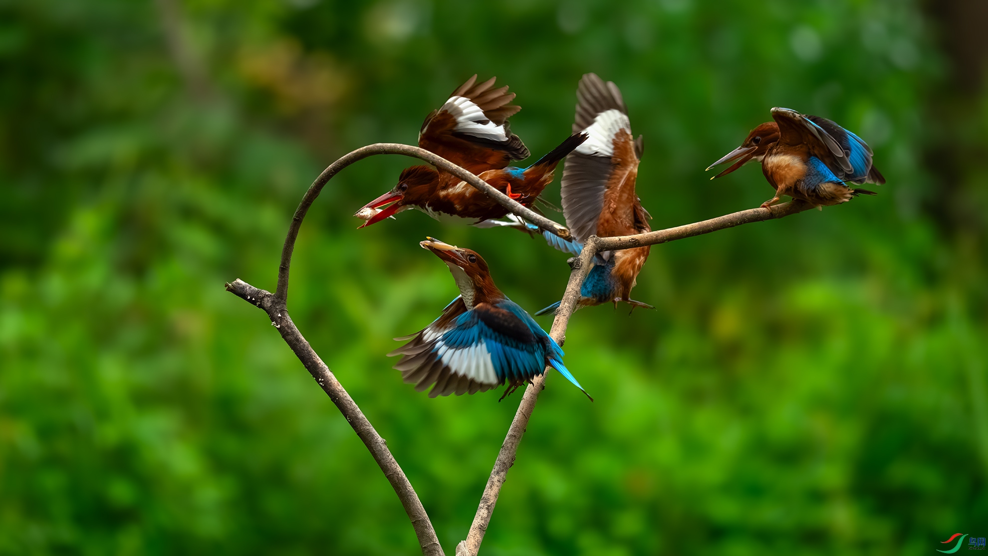 DSC06914-a.jpg