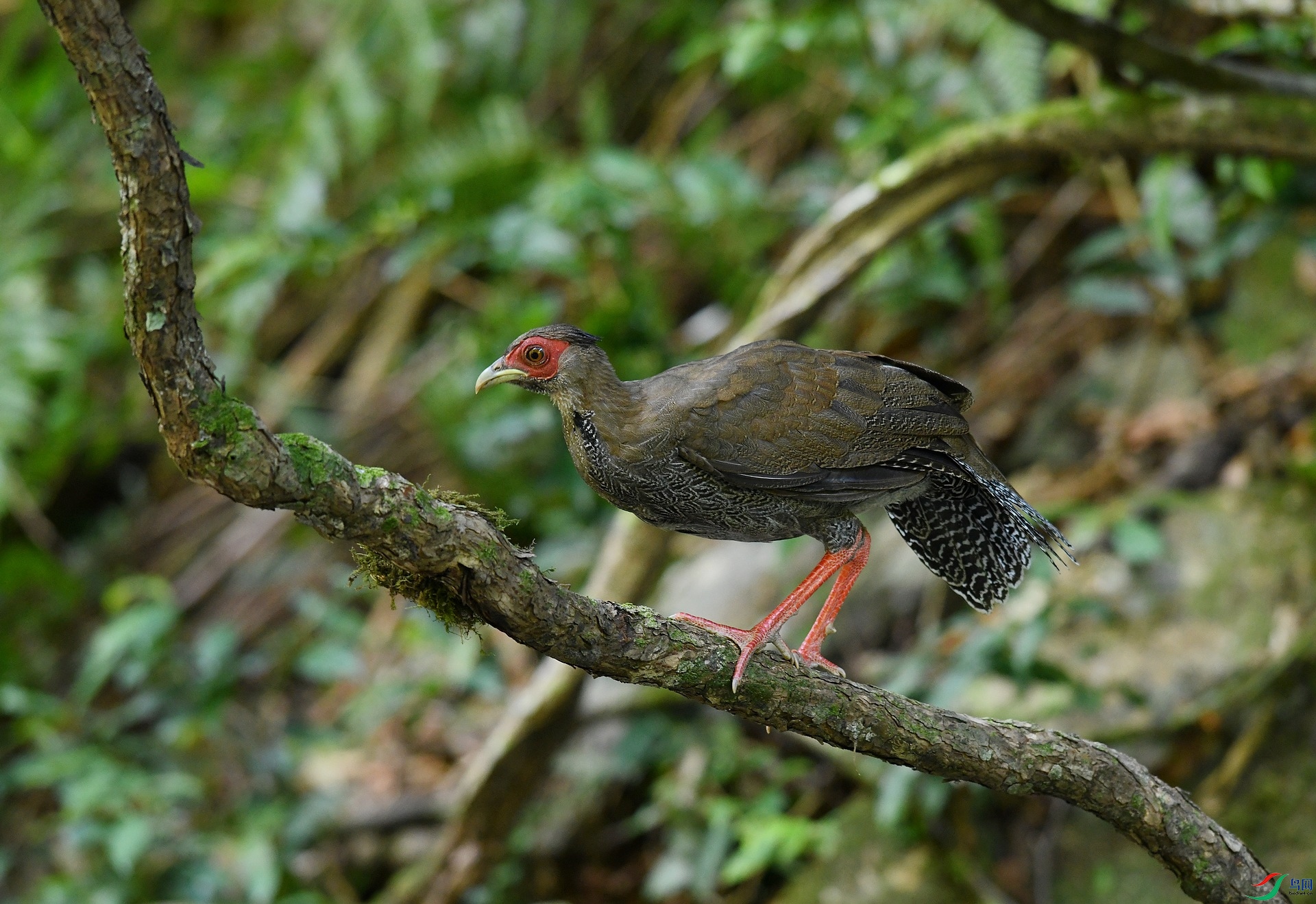 DSC_4258.jpg