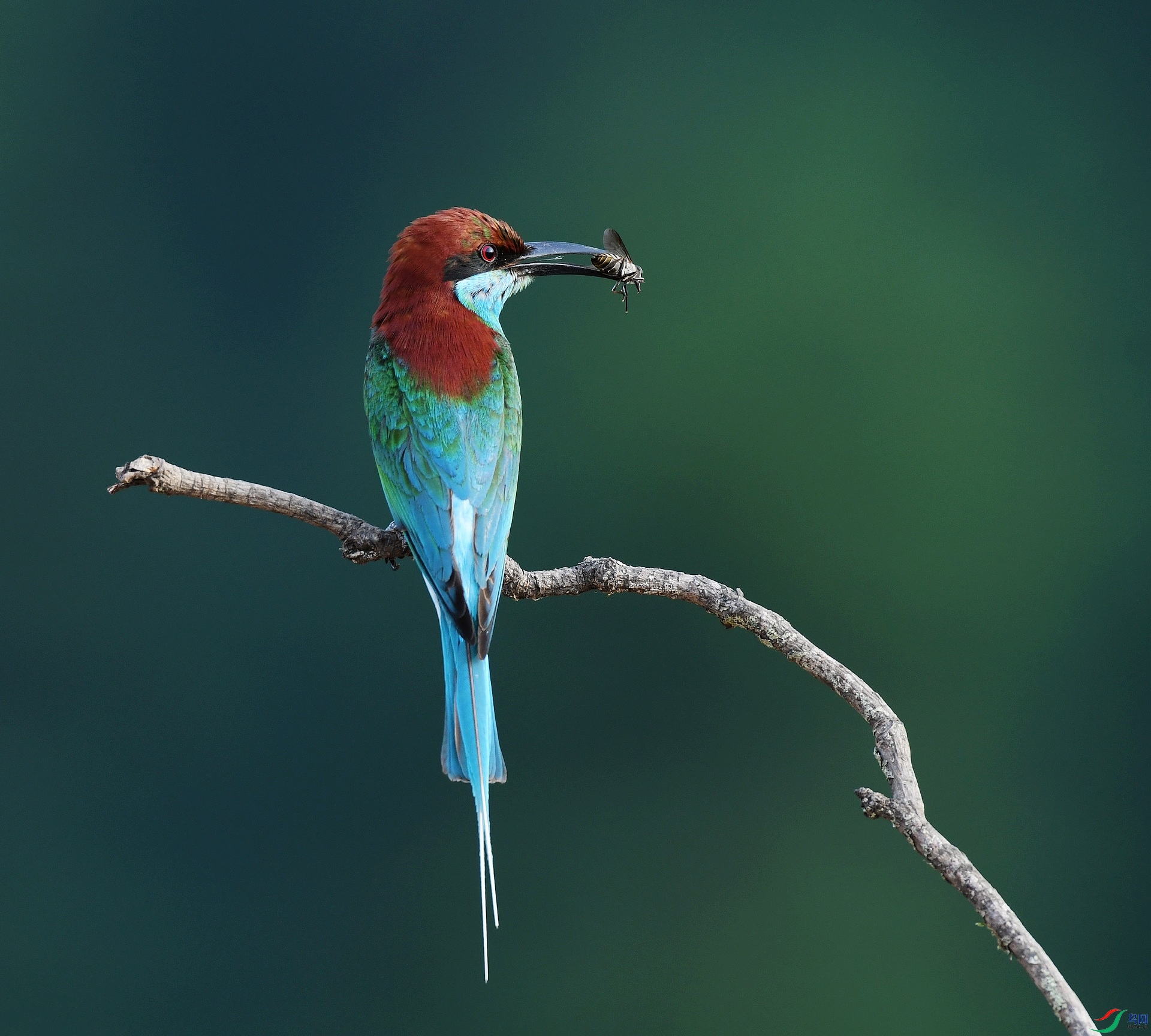 DSC_7461.jpg