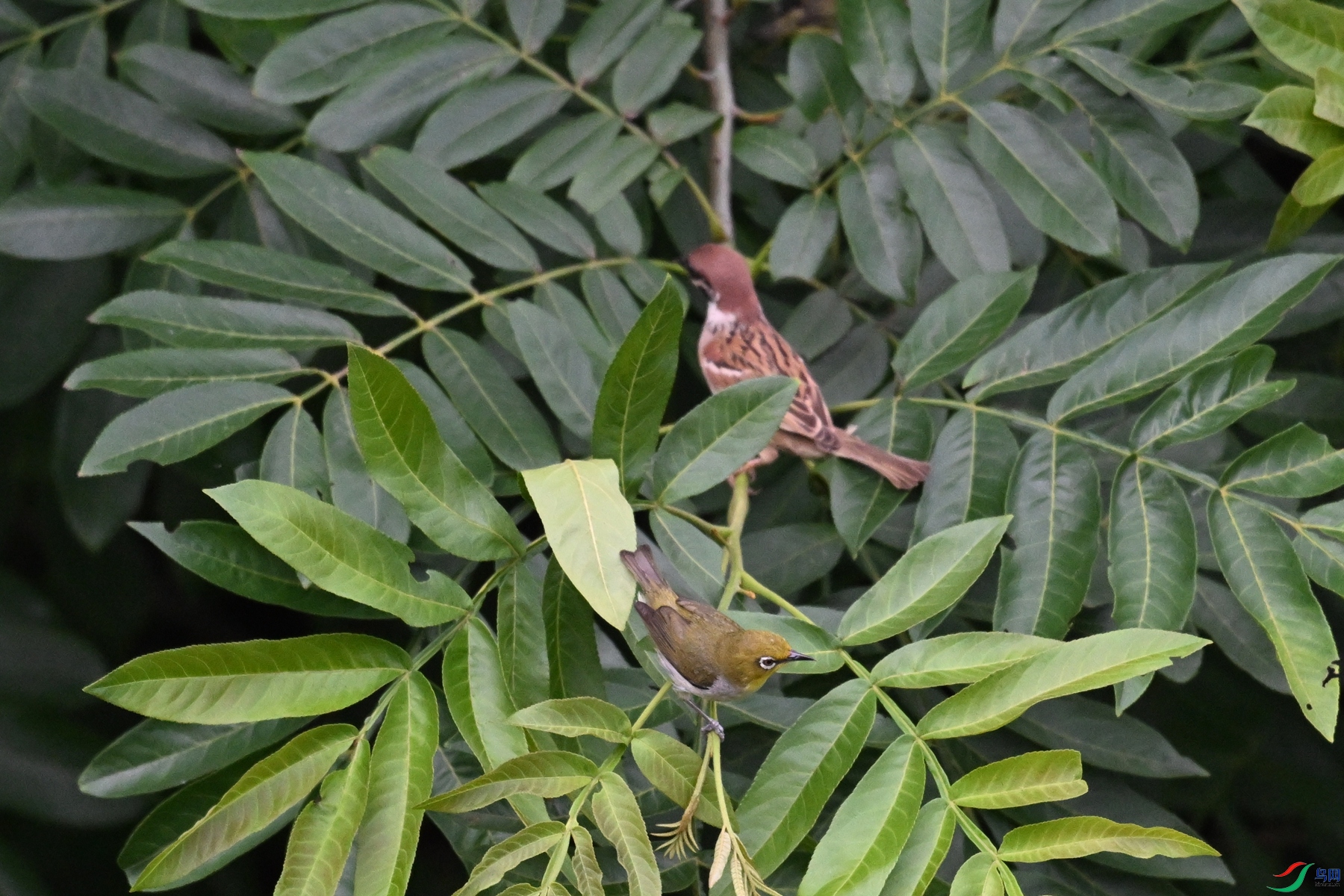 DSC_5740.JPG