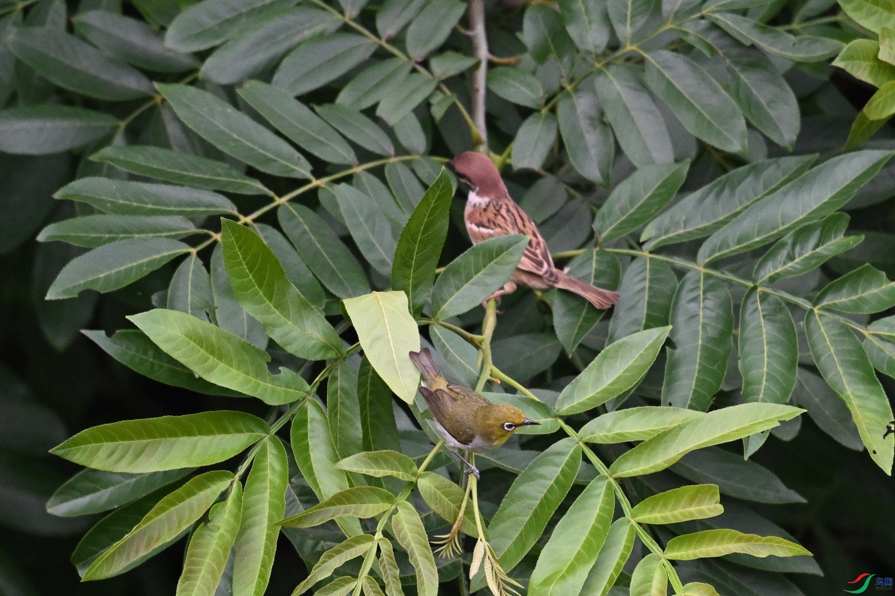 DSC_5741.JPG
