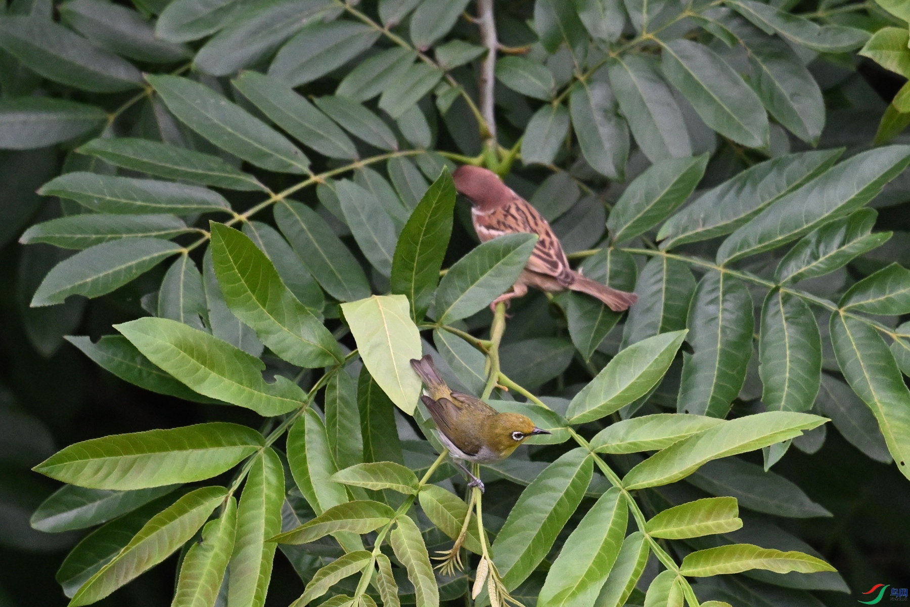 DSC_5742.JPG