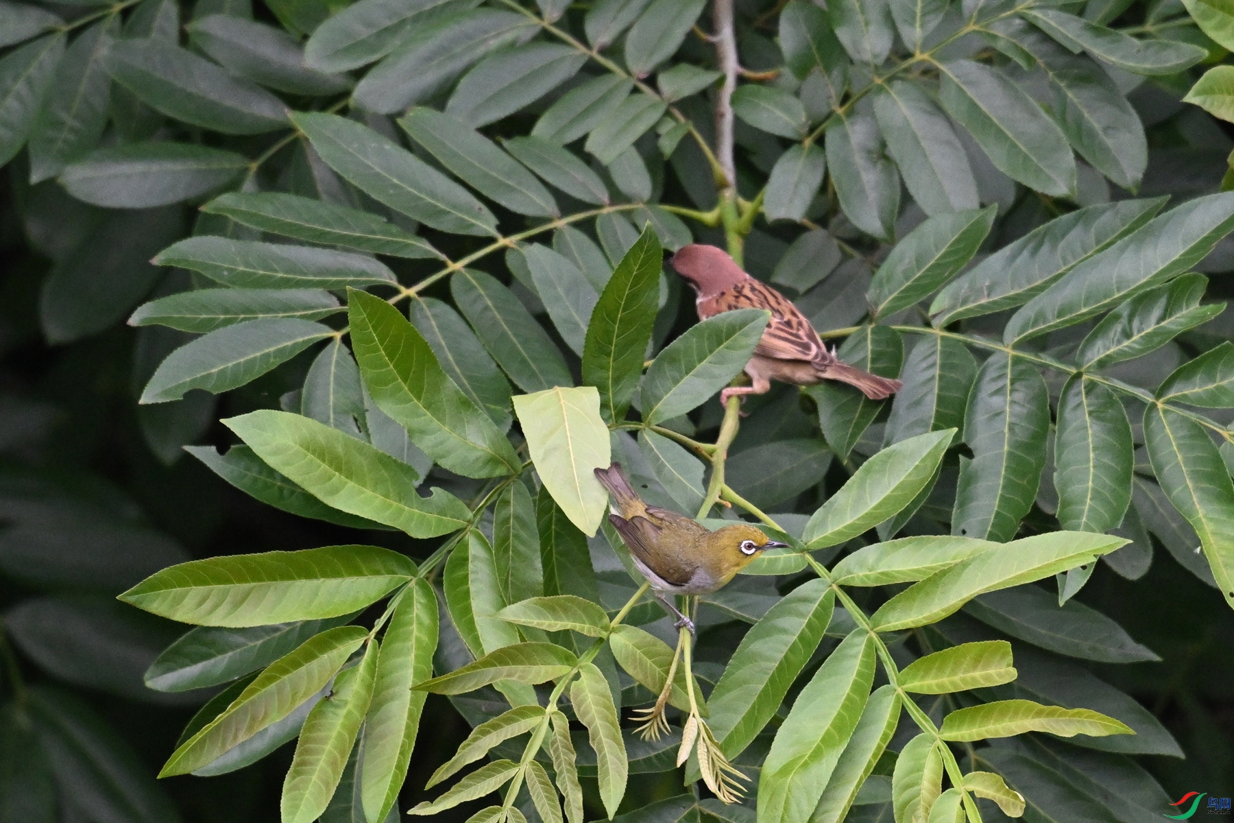 DSC_5743.JPG