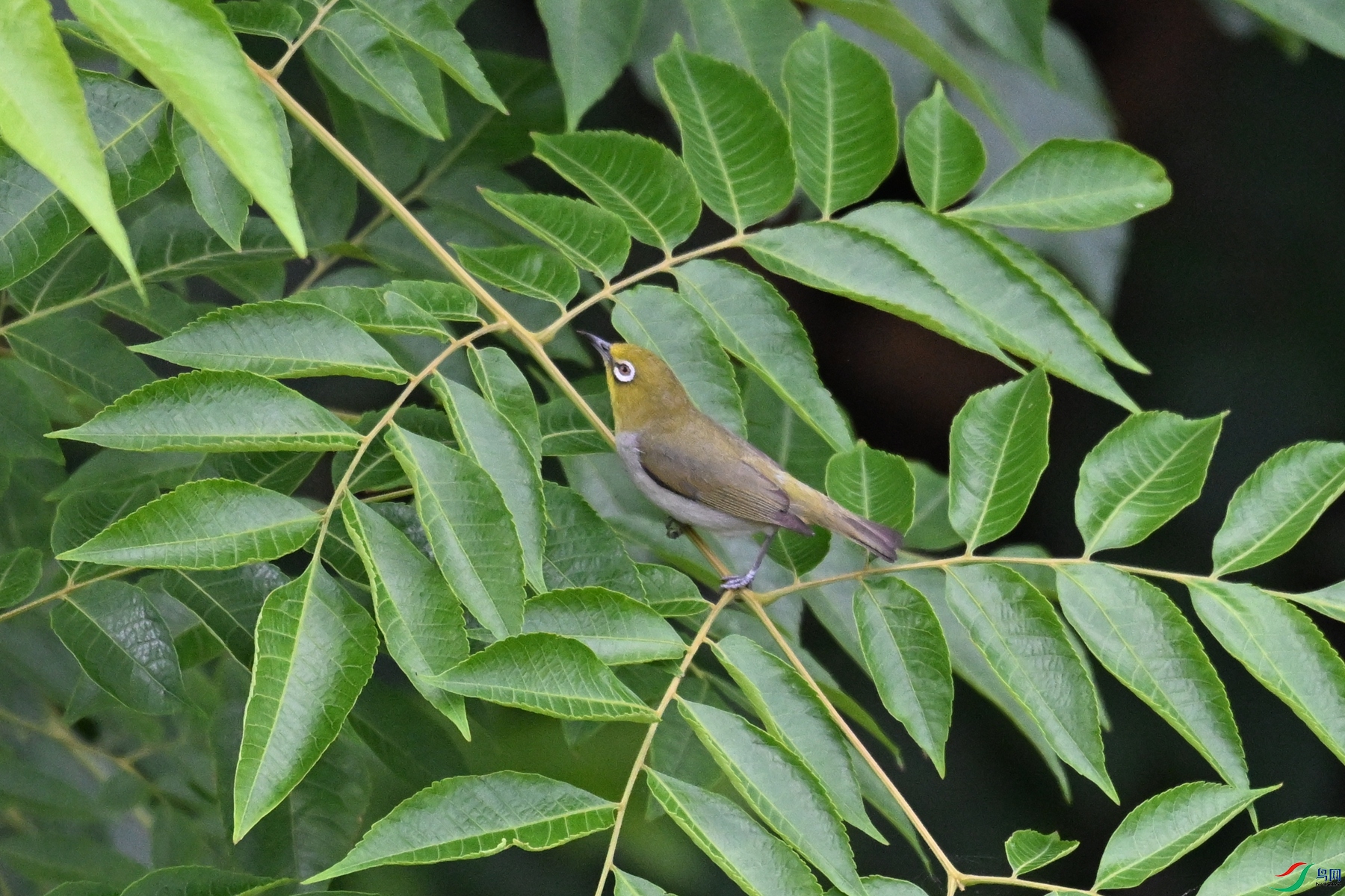 DSC_5752.JPG