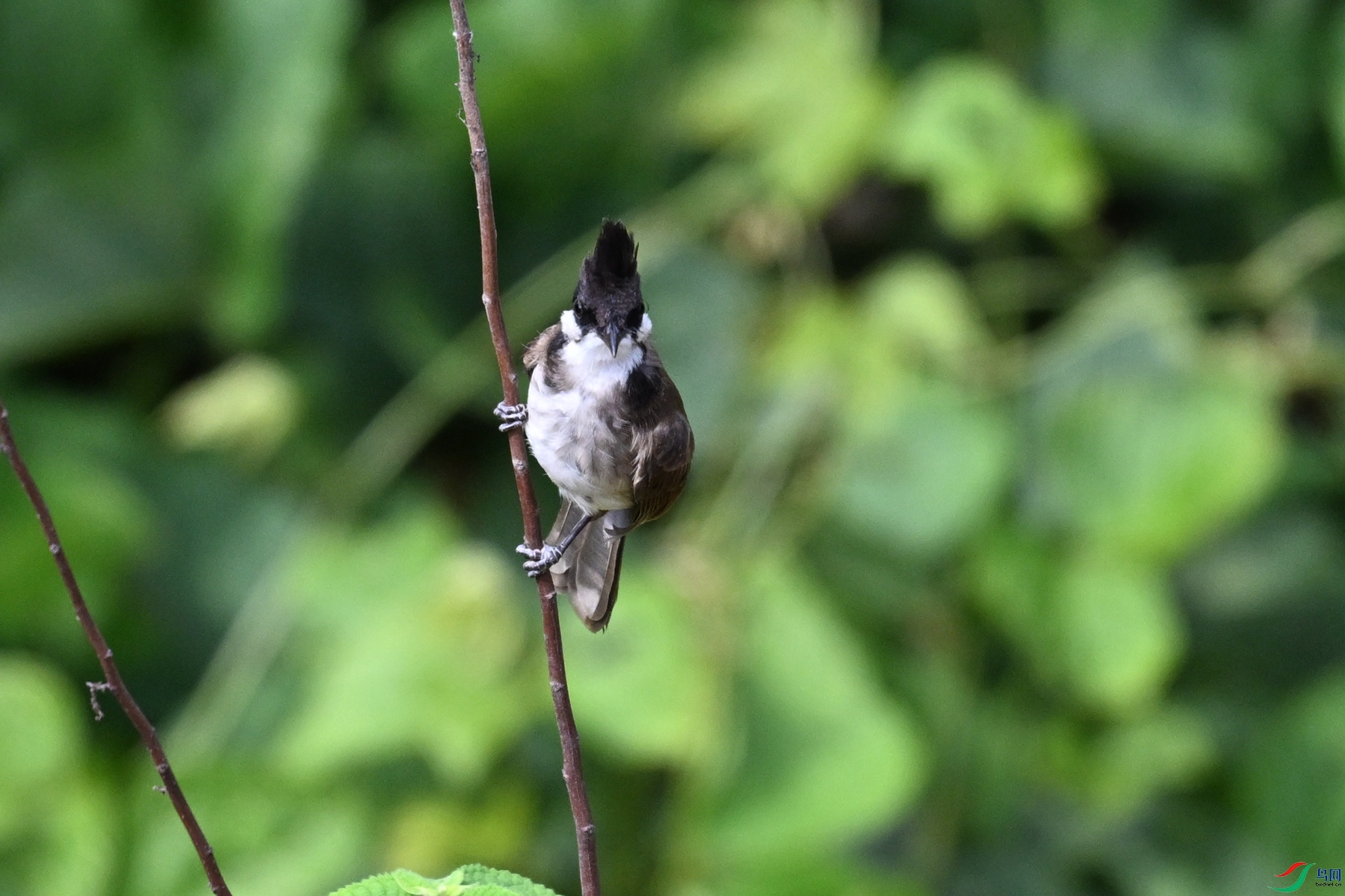 DSC_5756.JPG