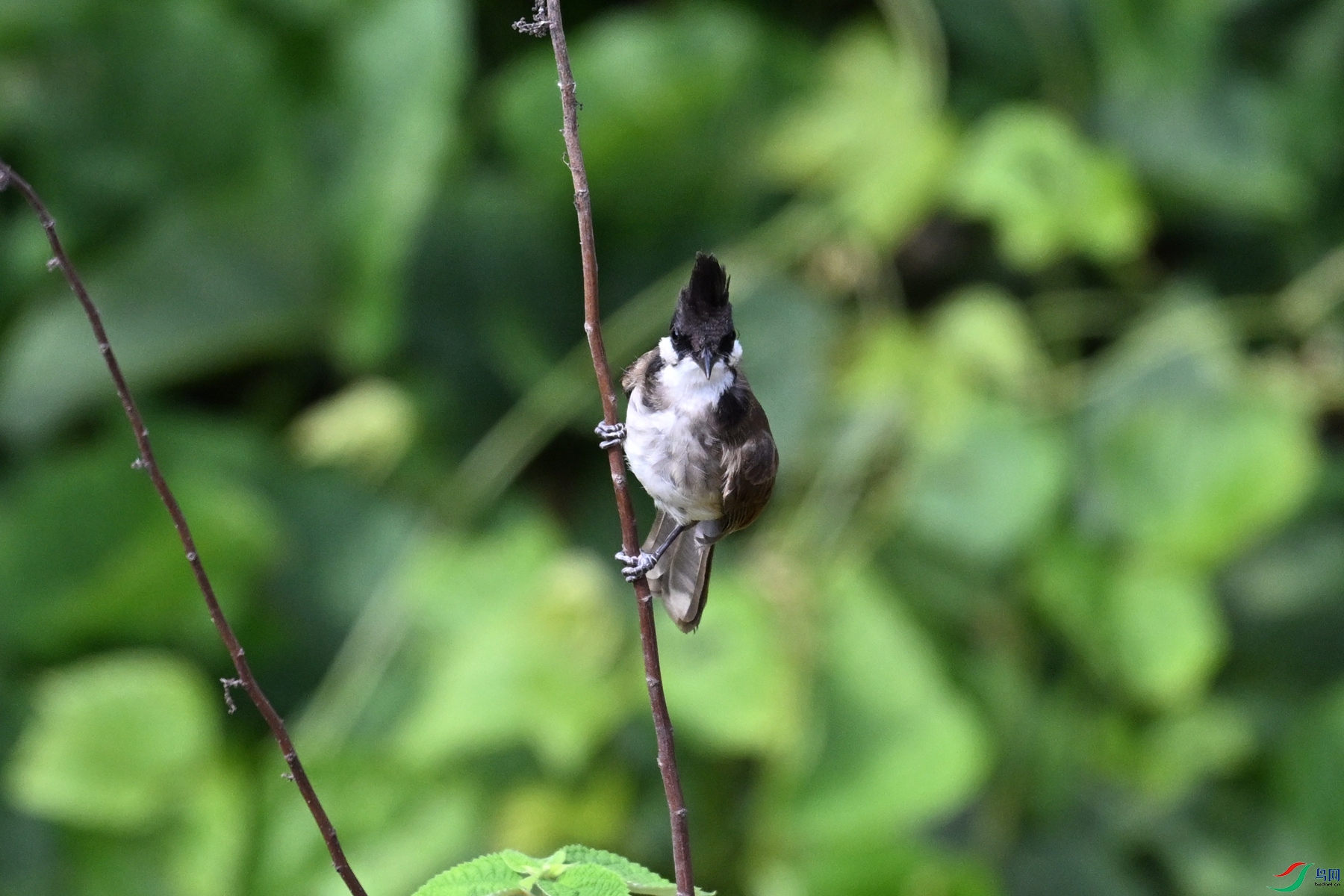 DSC_5757.JPG