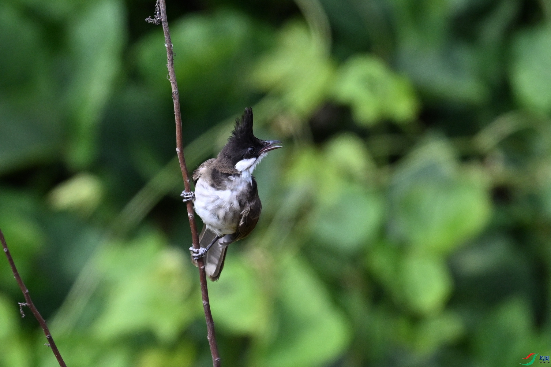 DSC_5759.JPG