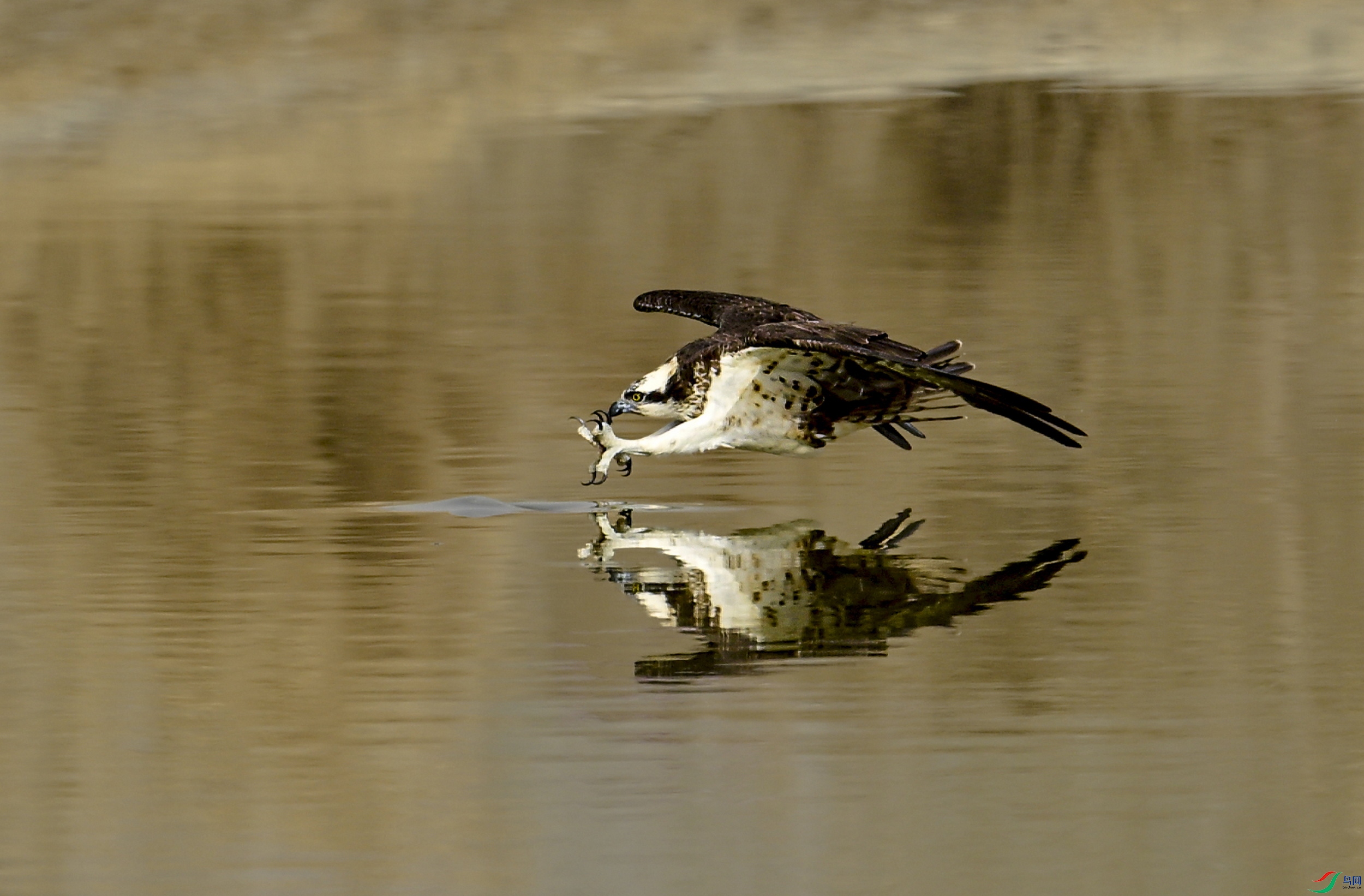 _DSC2097 ����x.jpg