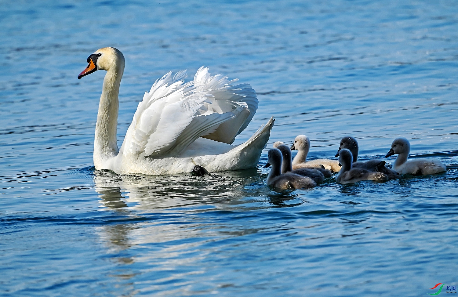 DSC_6334---_conew1.jpg