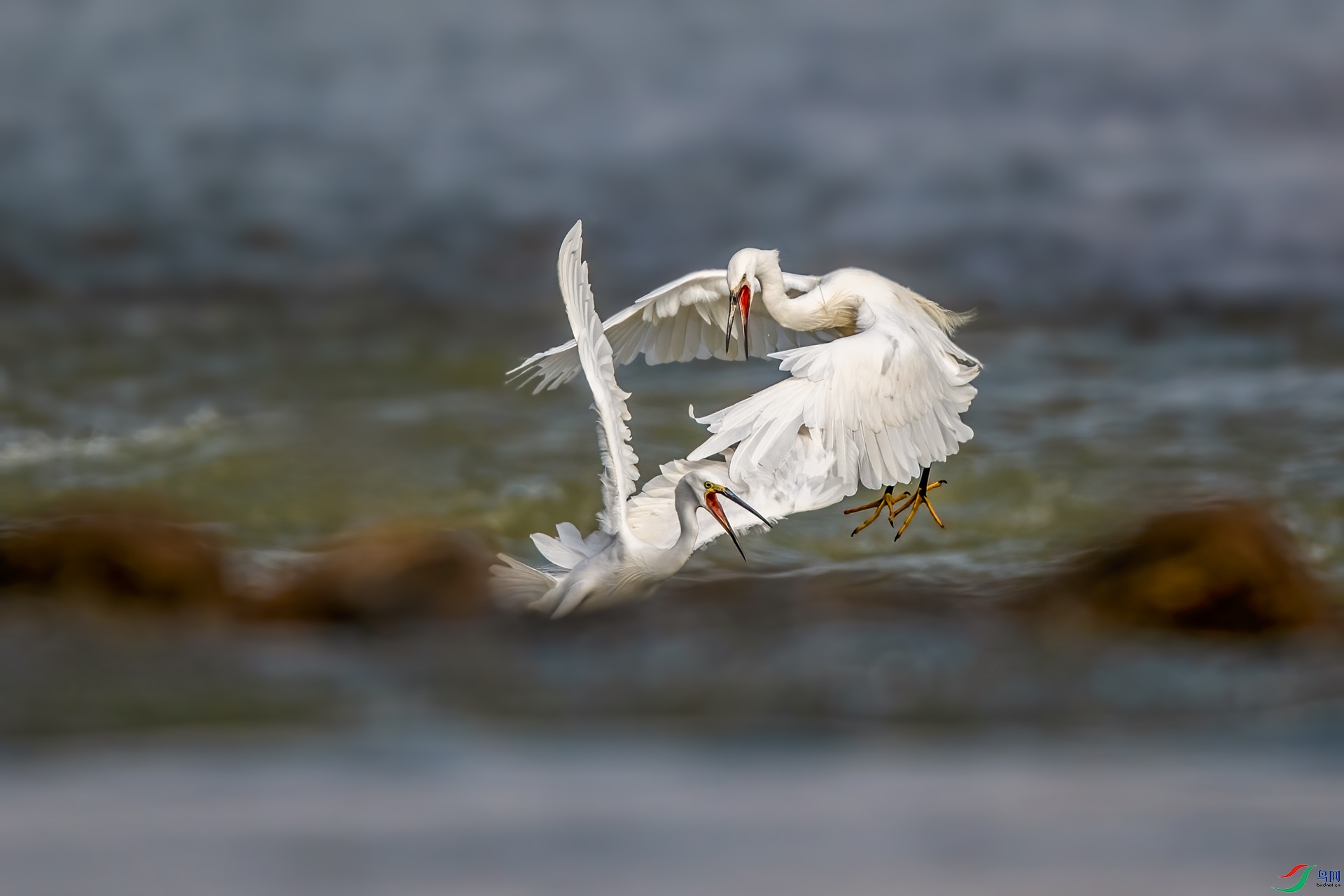 DSC_7209.jpg