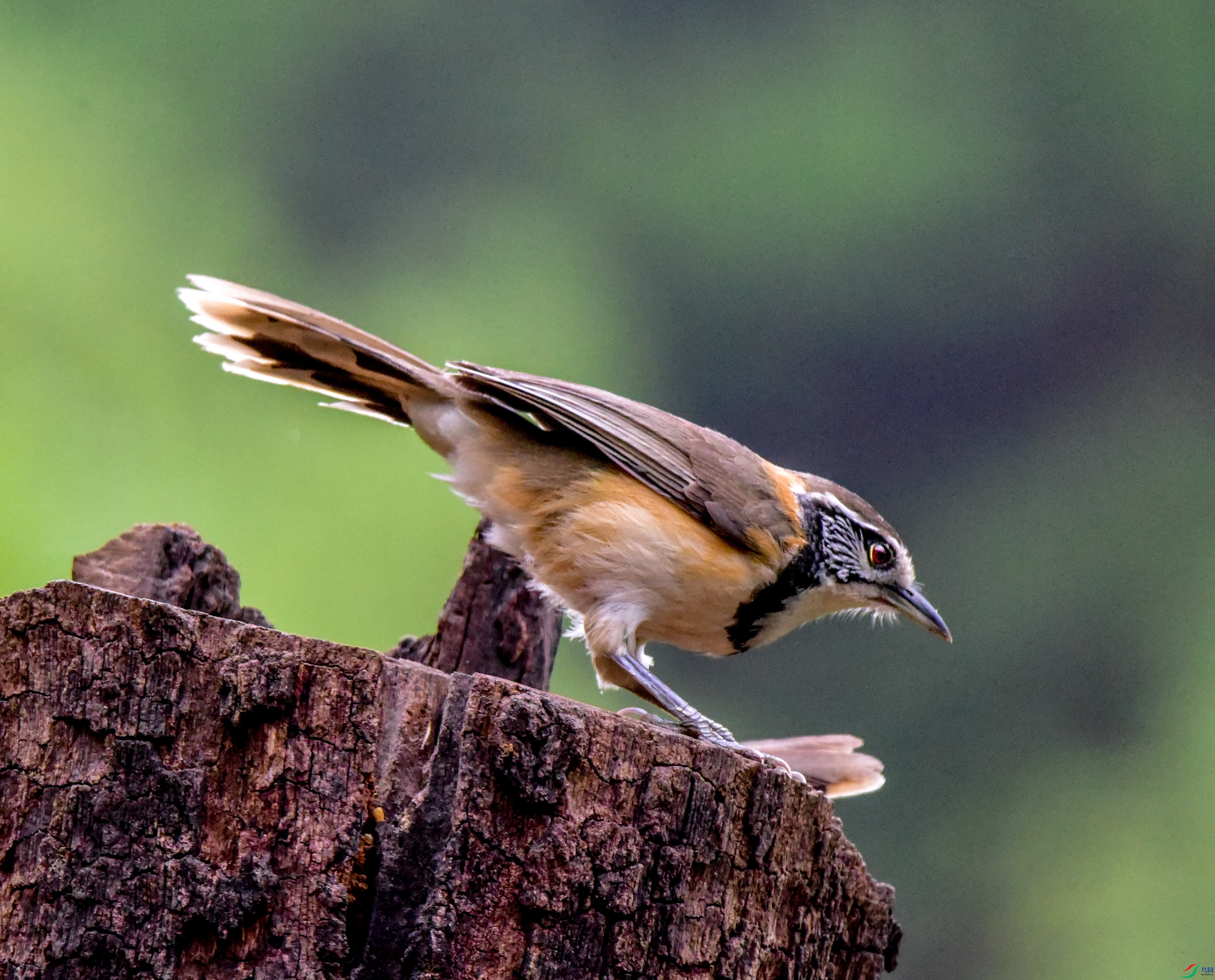 ��_3.jpg
