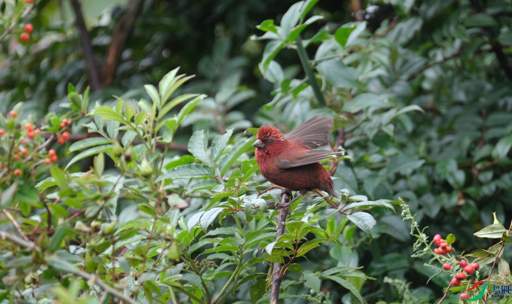 DSCF5046.1.jpg