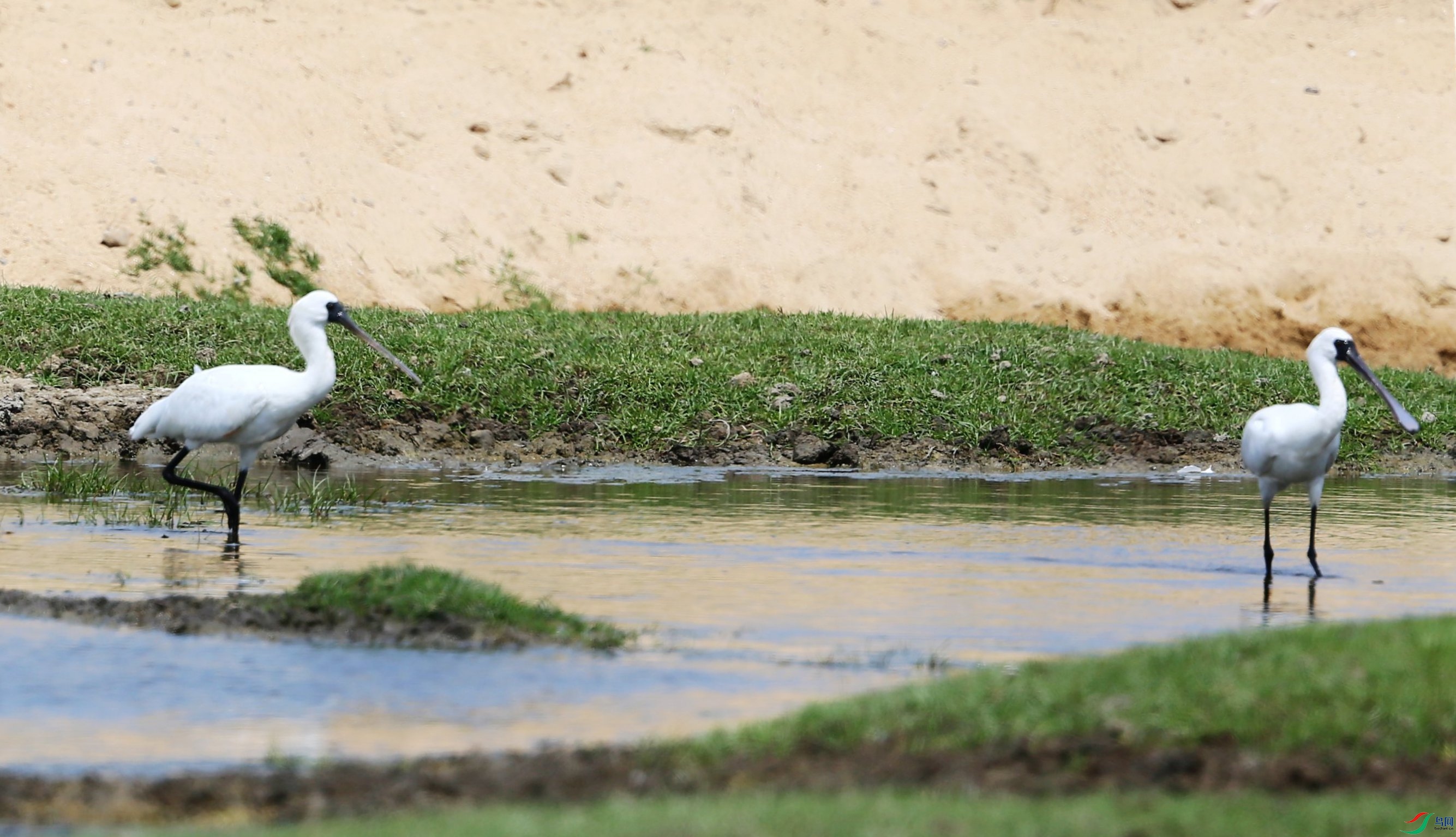 �������� (20).JPG