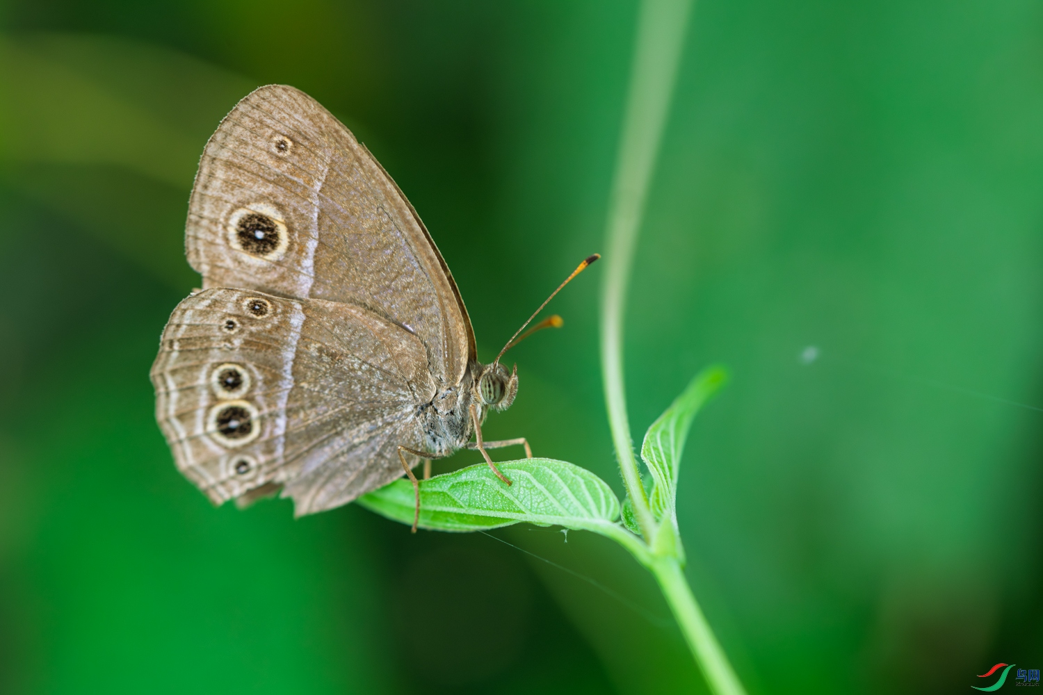 DSC_1161_1.JPG