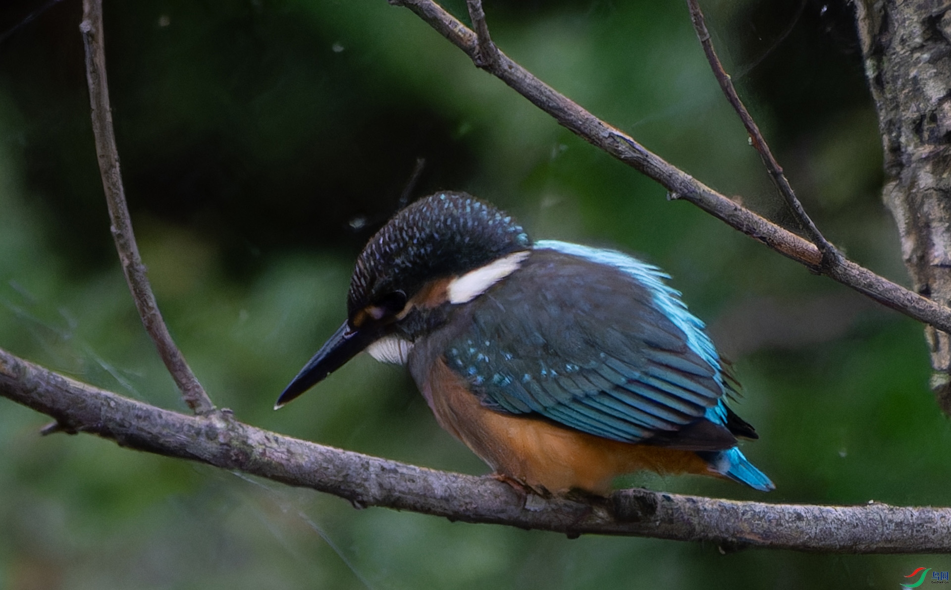 DSC04721-ARW_DxO_DeepPRIMEXD ����.jpg