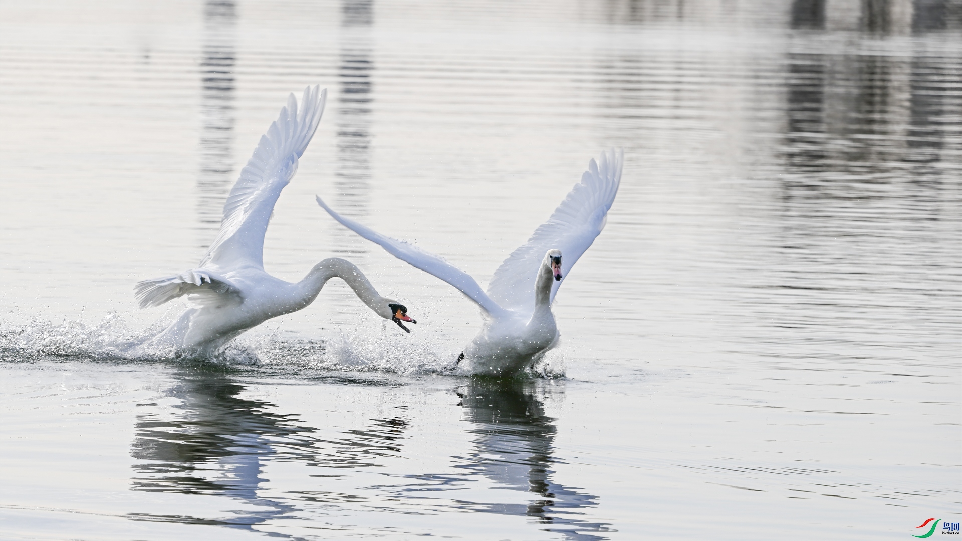 DSC_5577-�༭.jpg