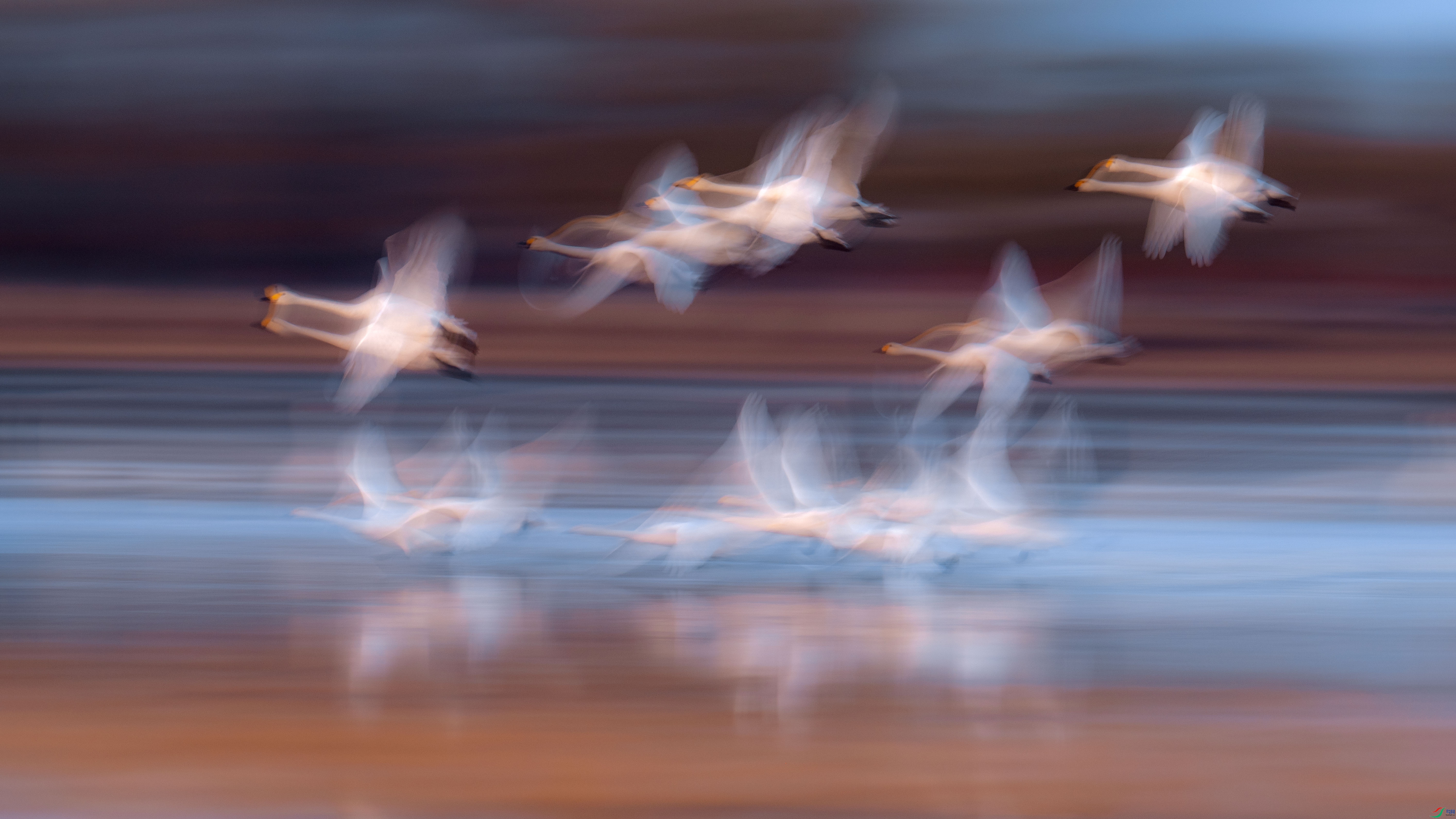 DSC_0299y.jpg