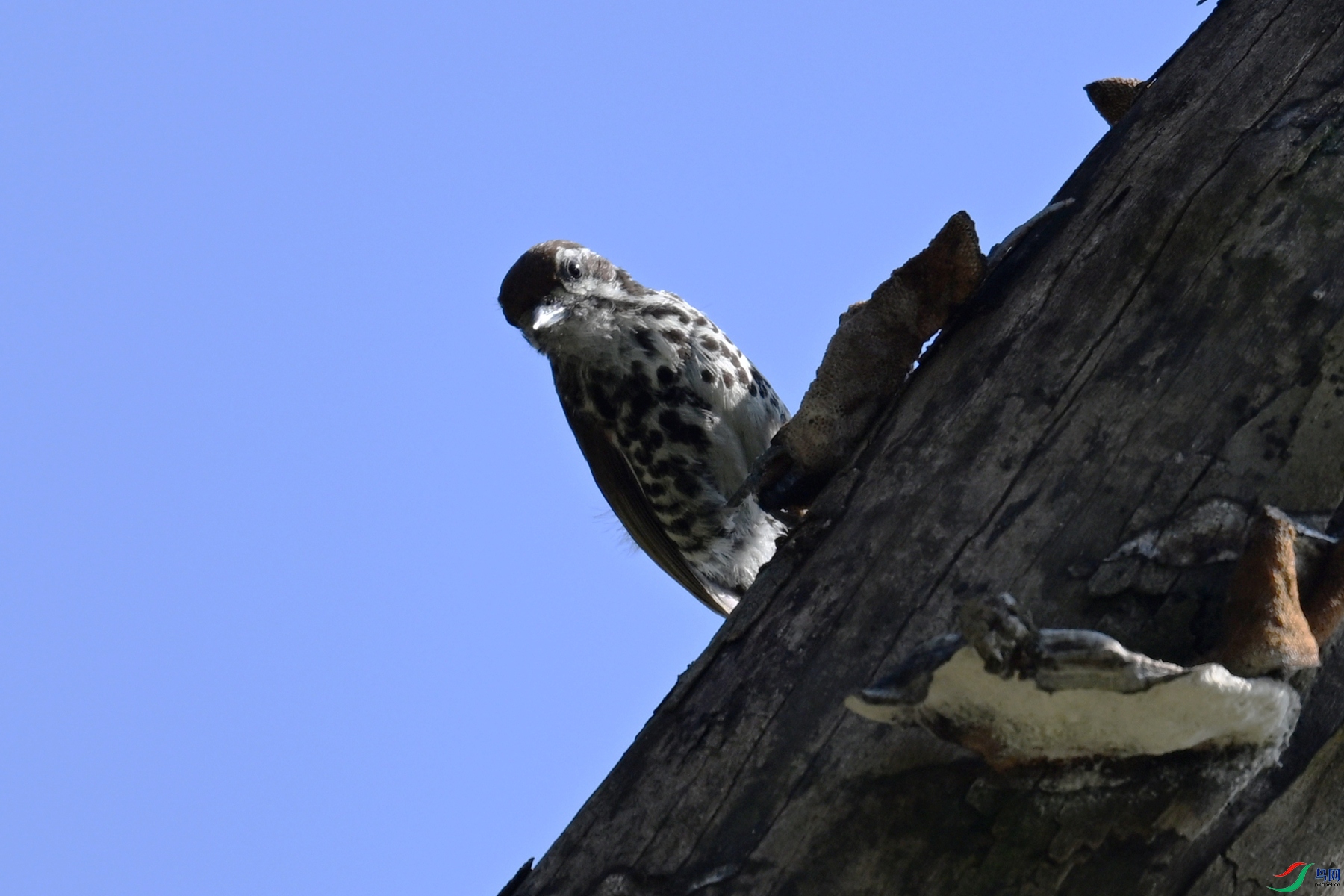 DSC_8929.JPG