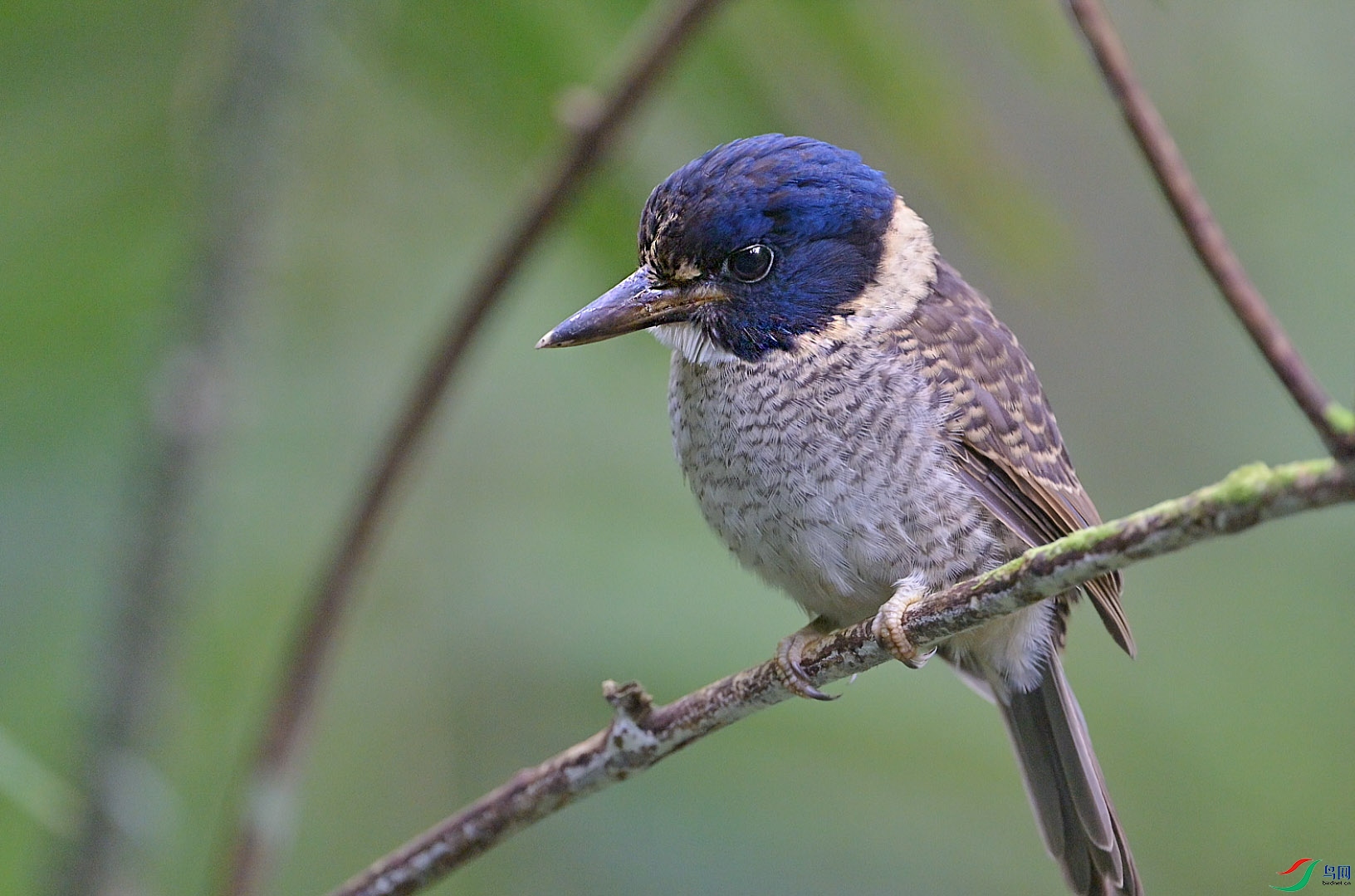 {6C34700E-5D07-4FC1-B64B-BE8329965AEC} ����.jpg