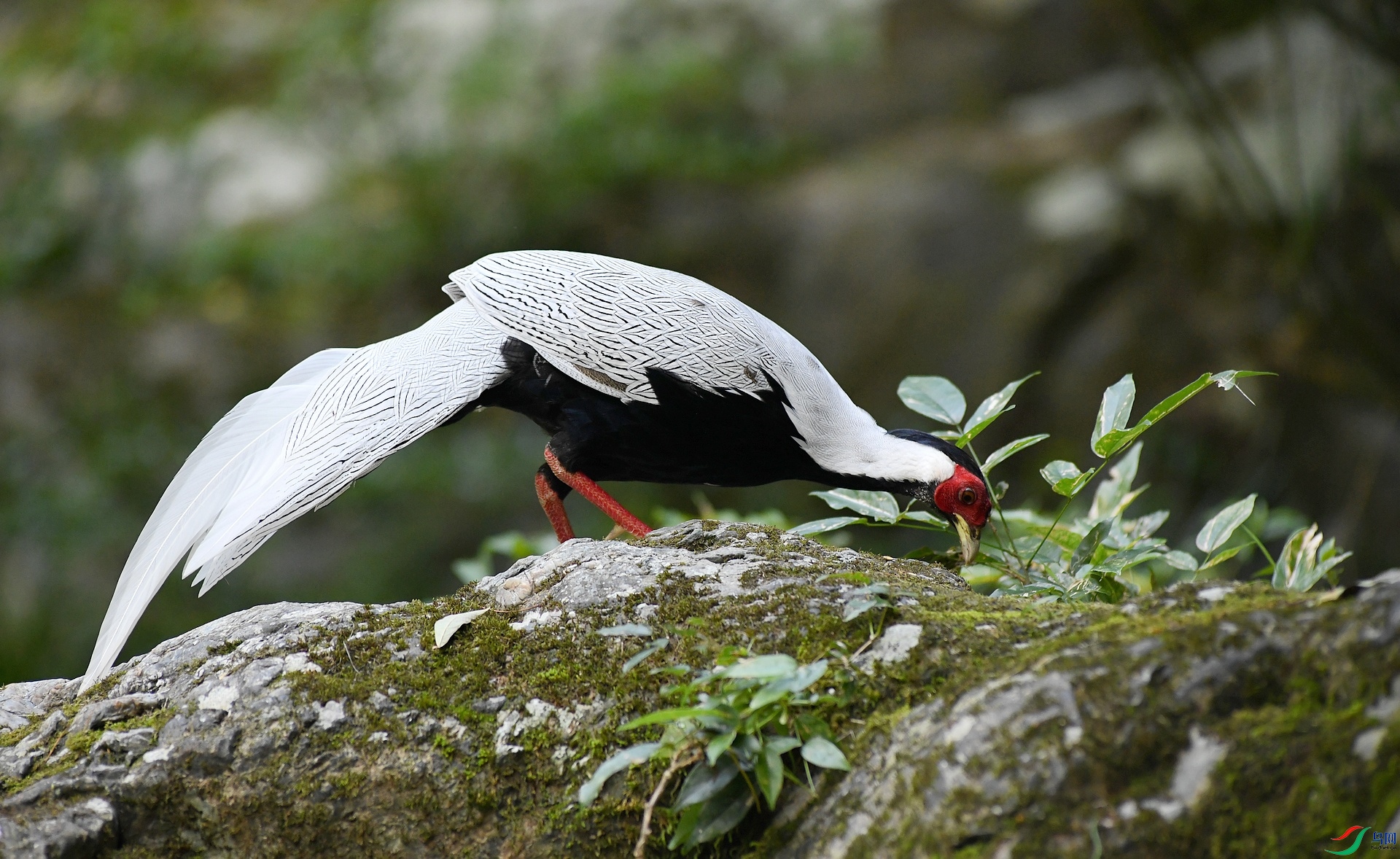 DSC_5806.jpg
