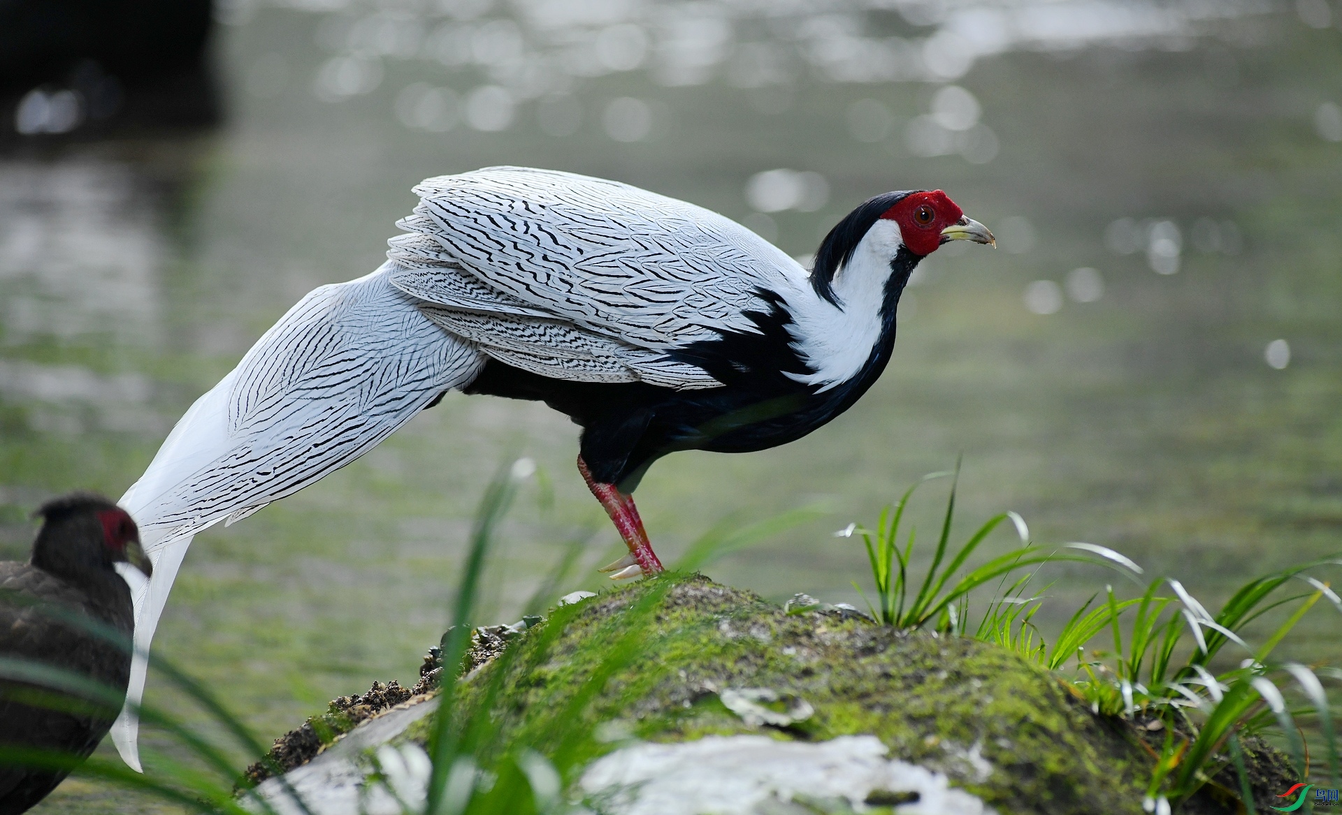 DSC_6579.jpg