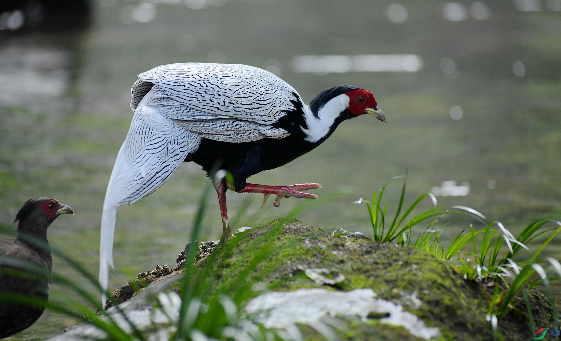 DSC_6575.jpg
