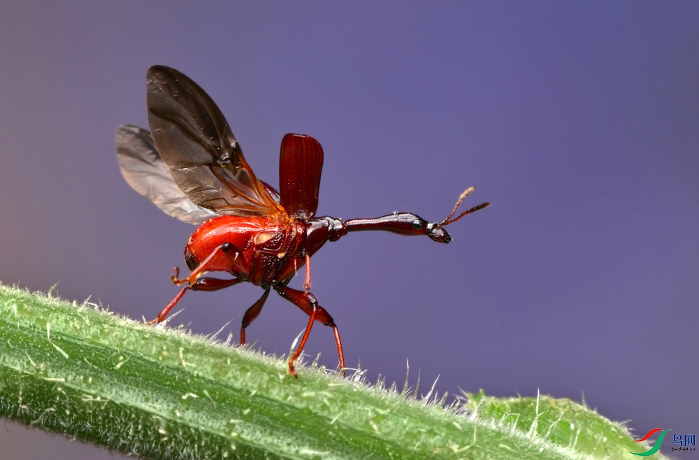 DSC_0593 ����..JPG