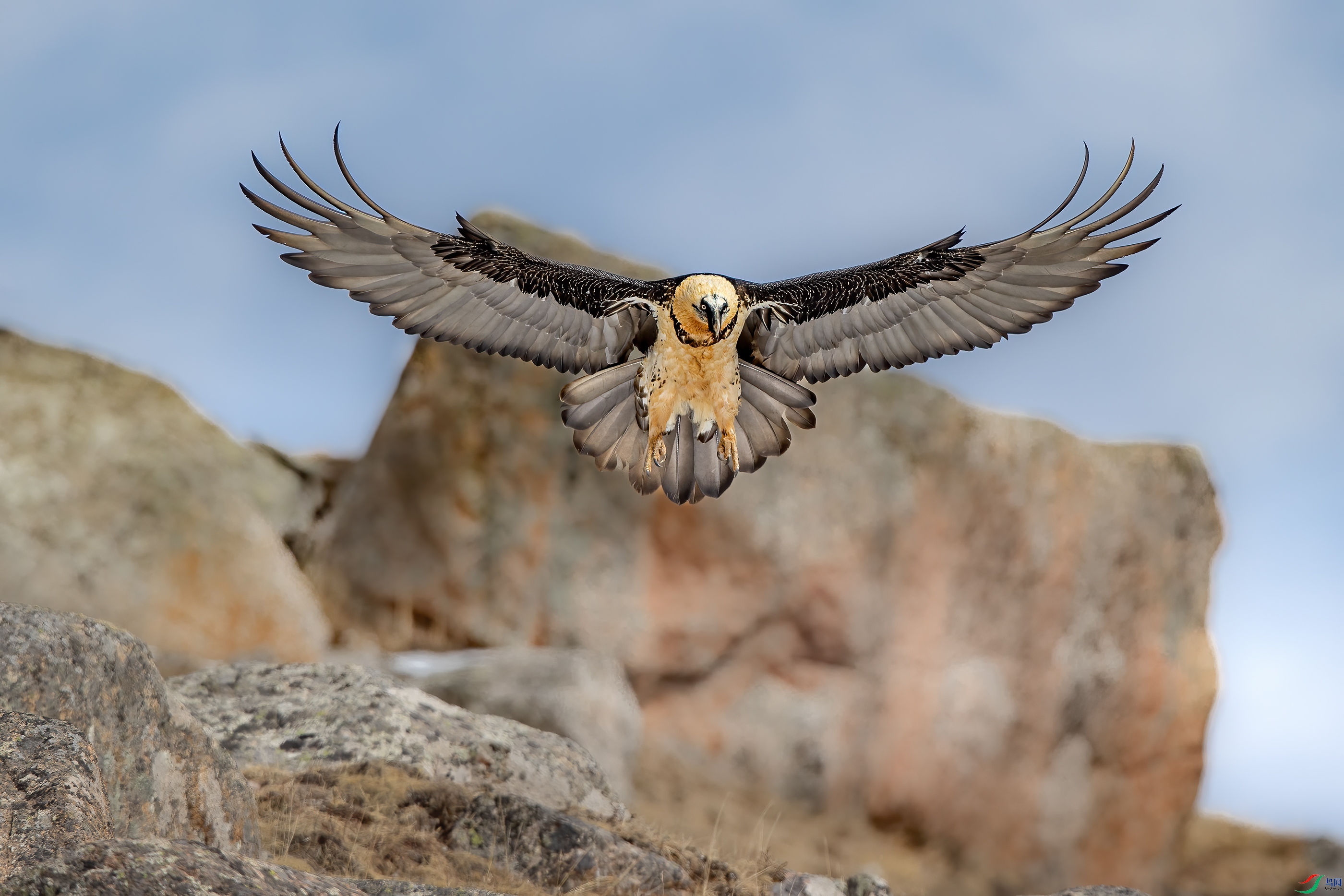 A15I9356 ����.jpg