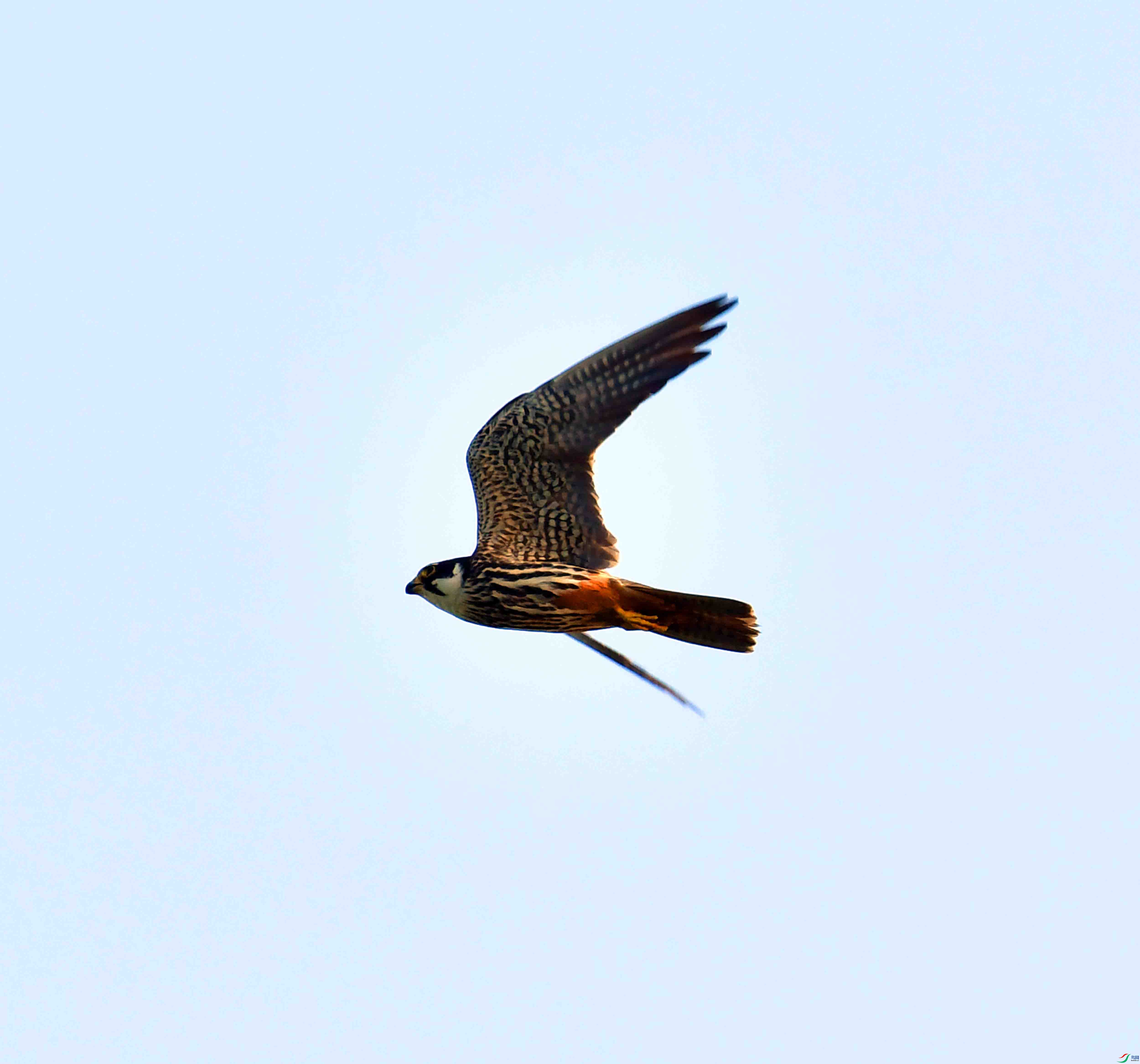 DSC_0207.JPG