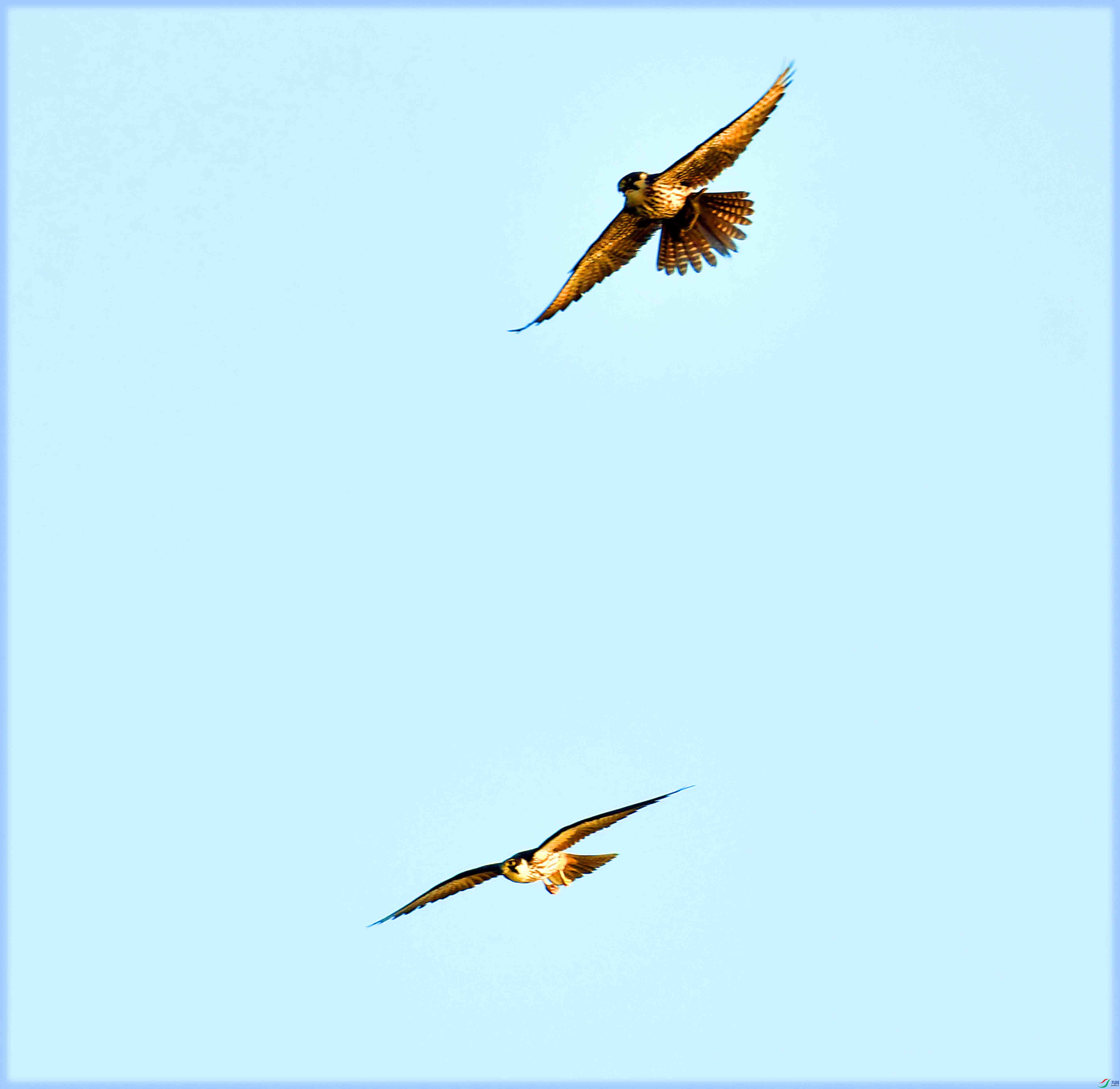 DSC_0228.JPG