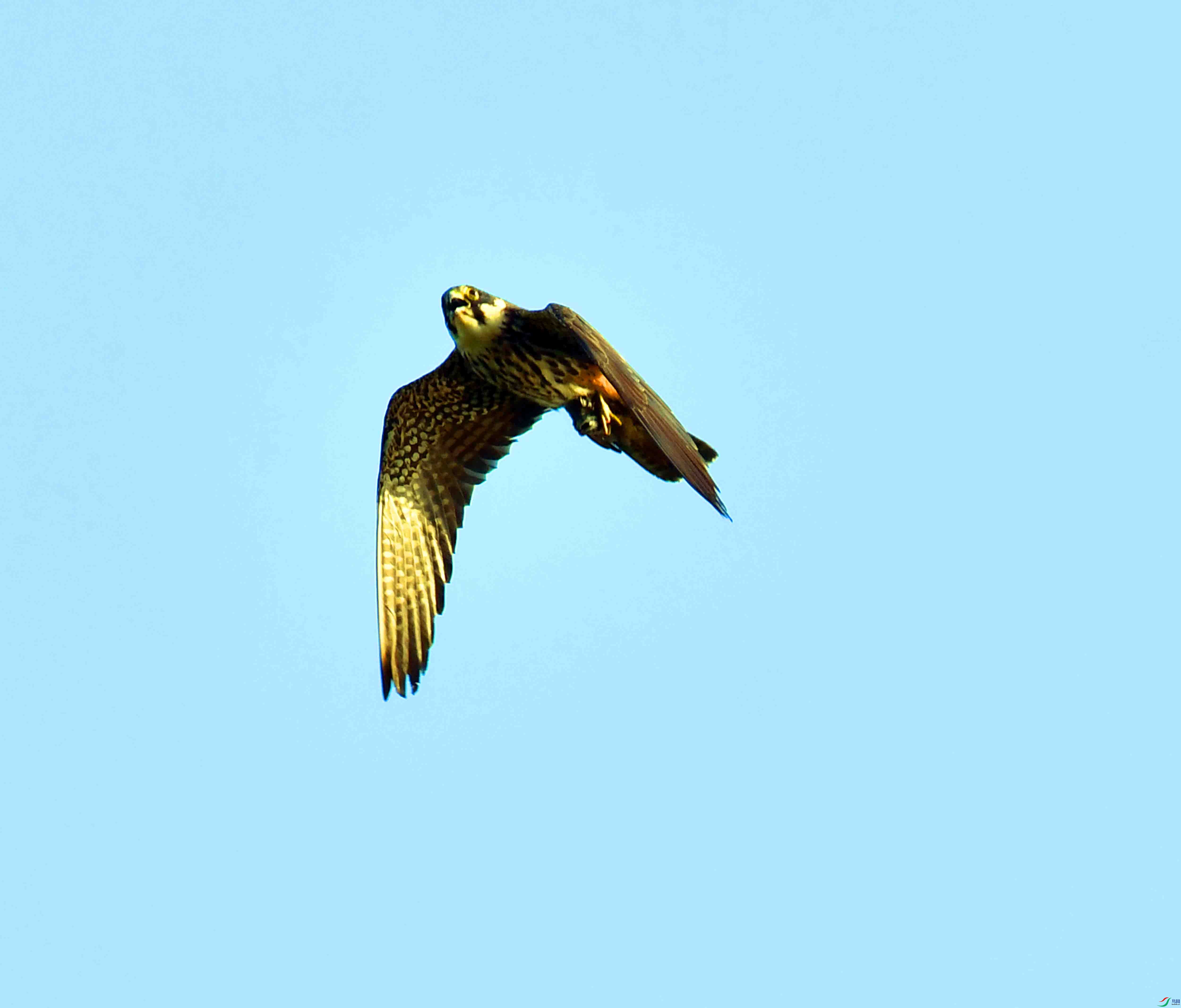 DSC_0292.JPG