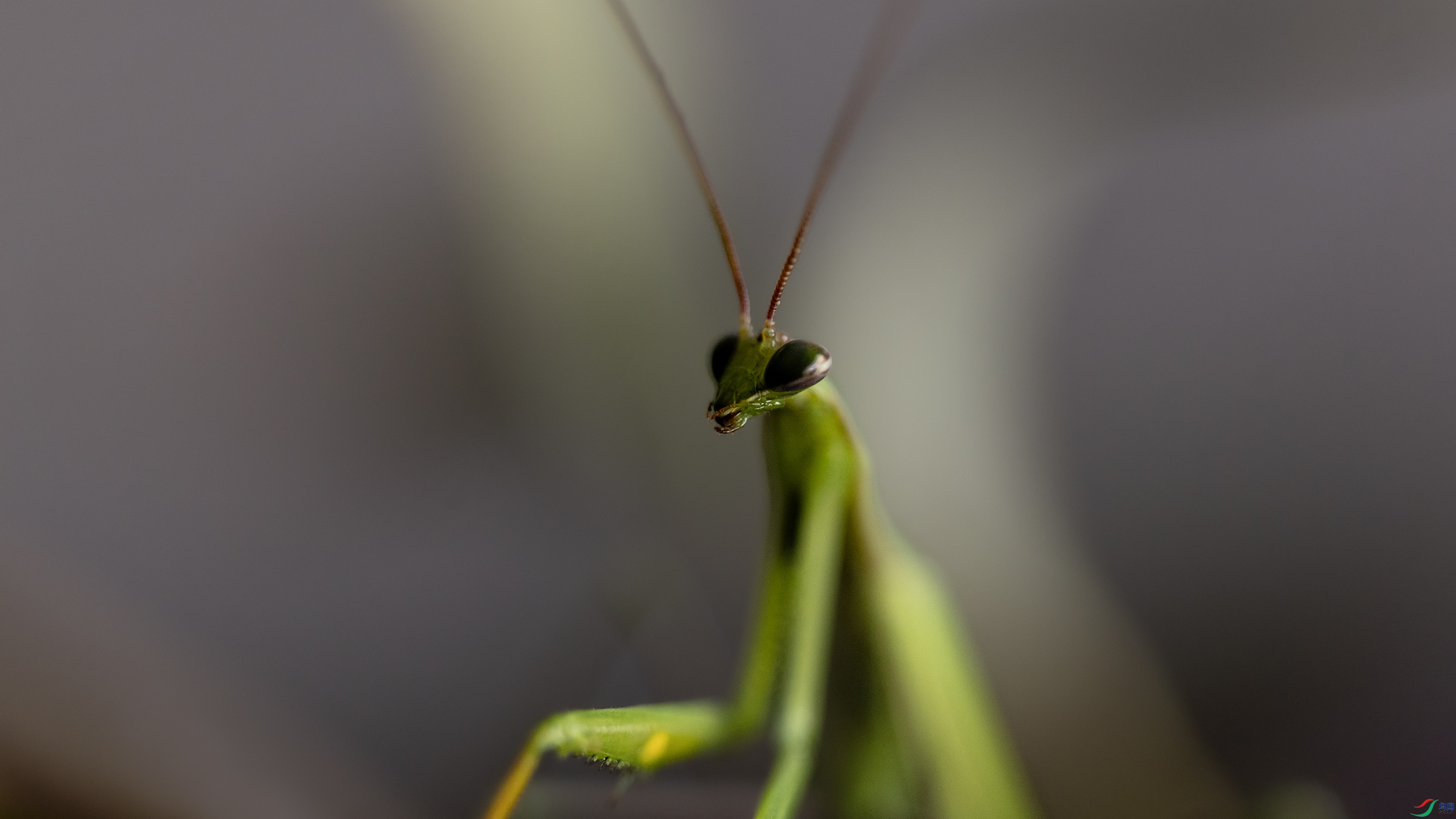 _X5A5558 ����4444.jpg