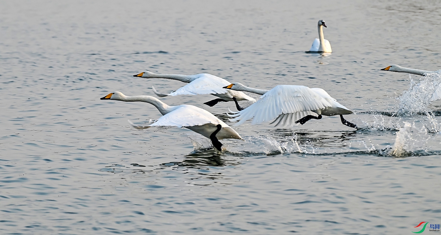 DSC_0727---_conew1.jpg