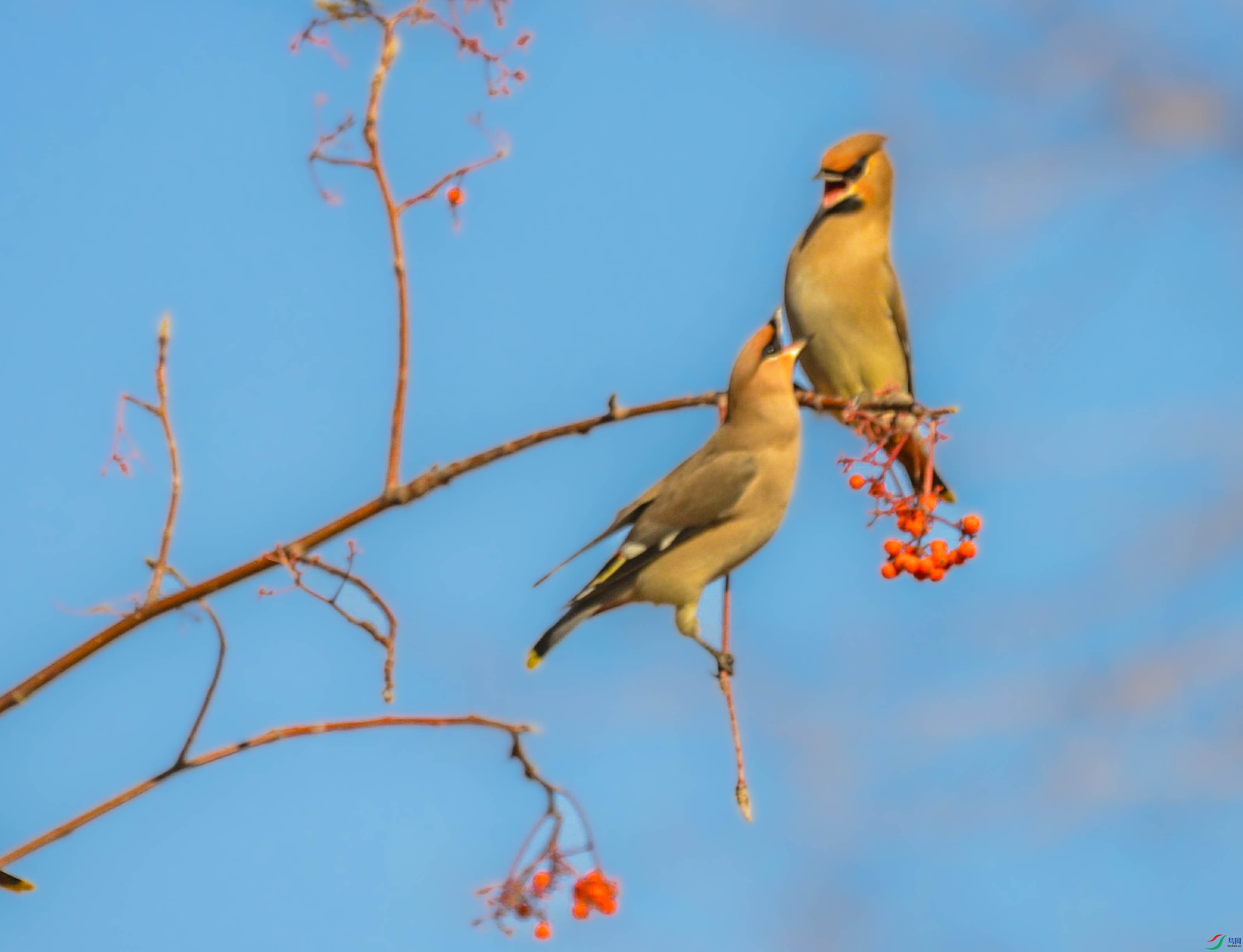 DSC_6098_���ٿ�ͼ.jpg