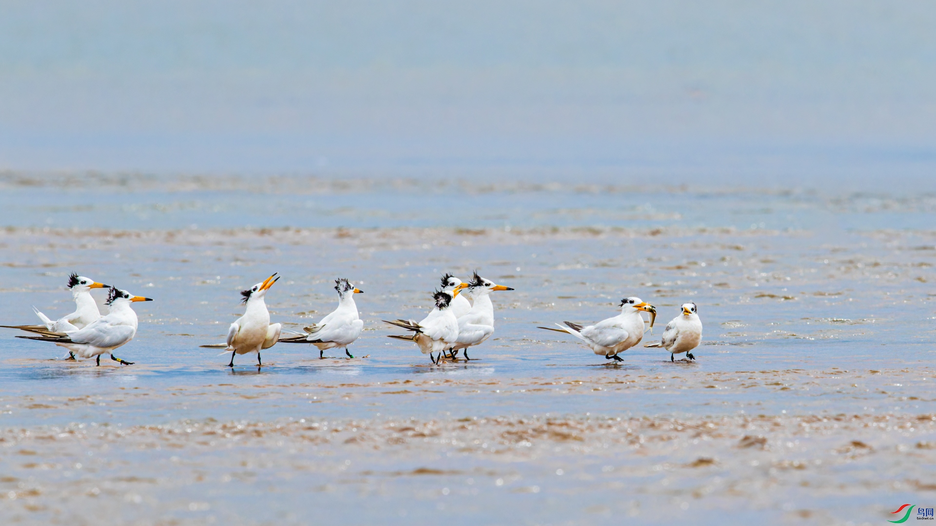 _00A1295-CR2_DxO_DeepPRIMEXD-1.jpg