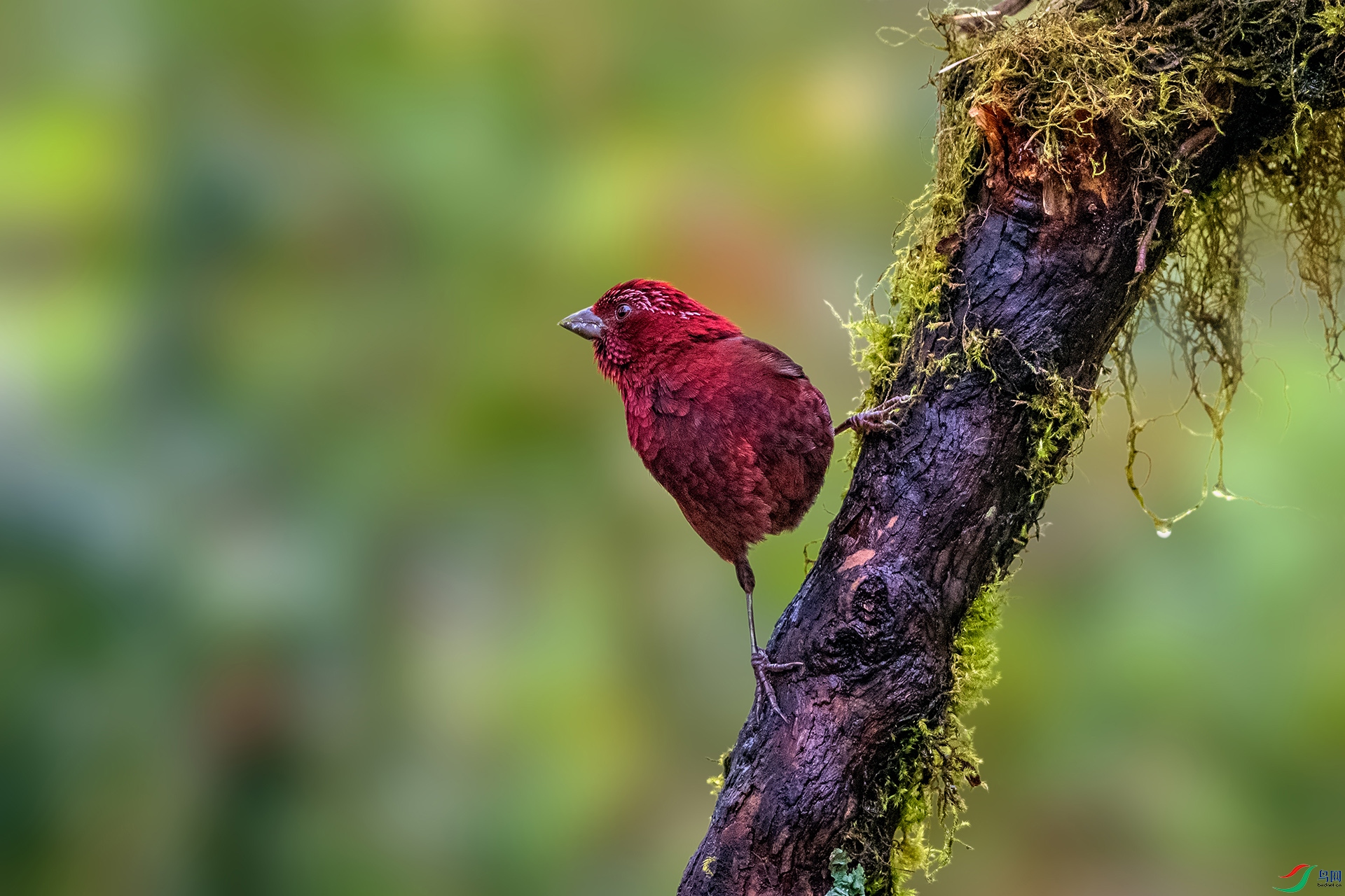 _AUU9302 �ƺ���ȸ(25.8.26).jpg