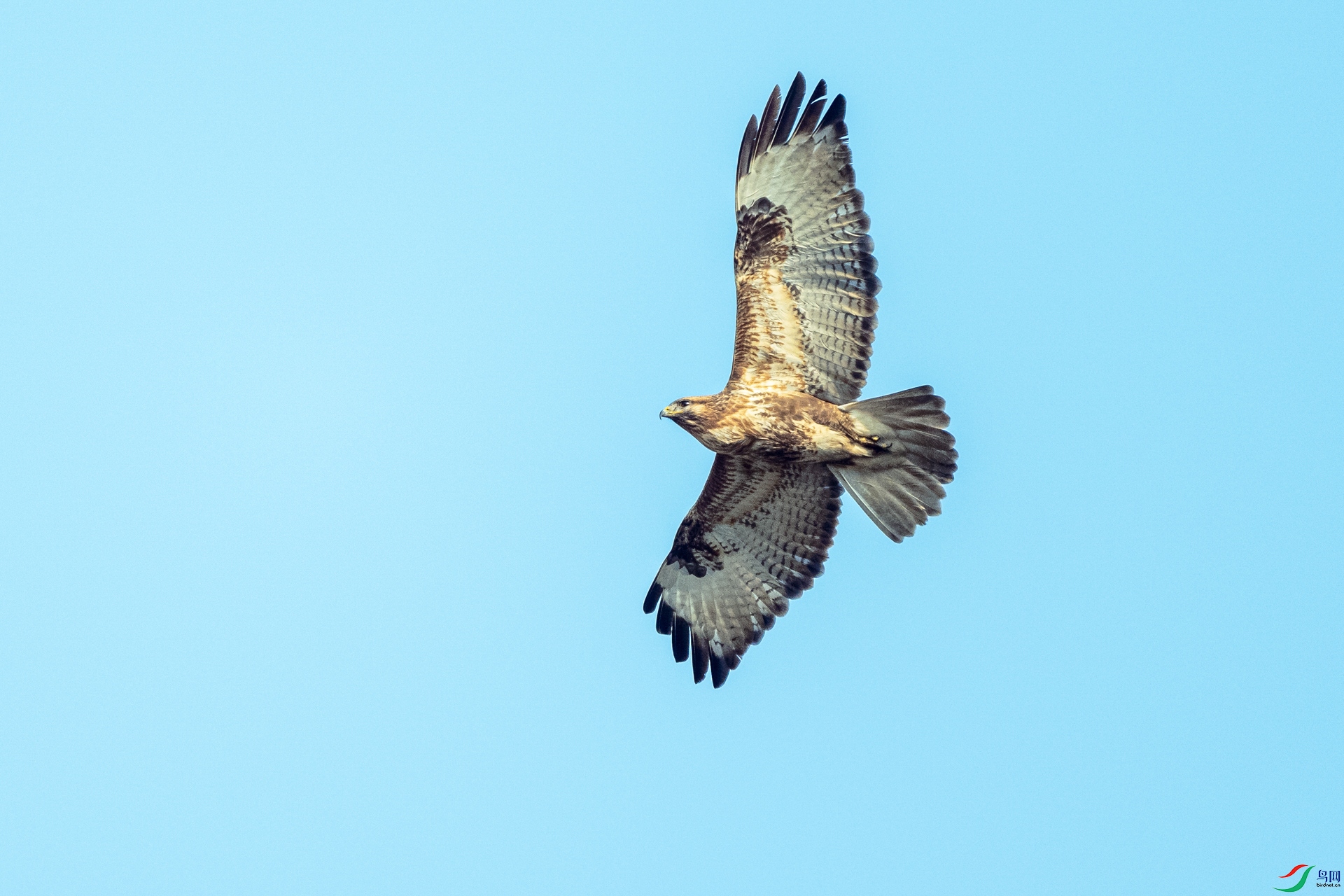 DSC_6574 ����.jpg