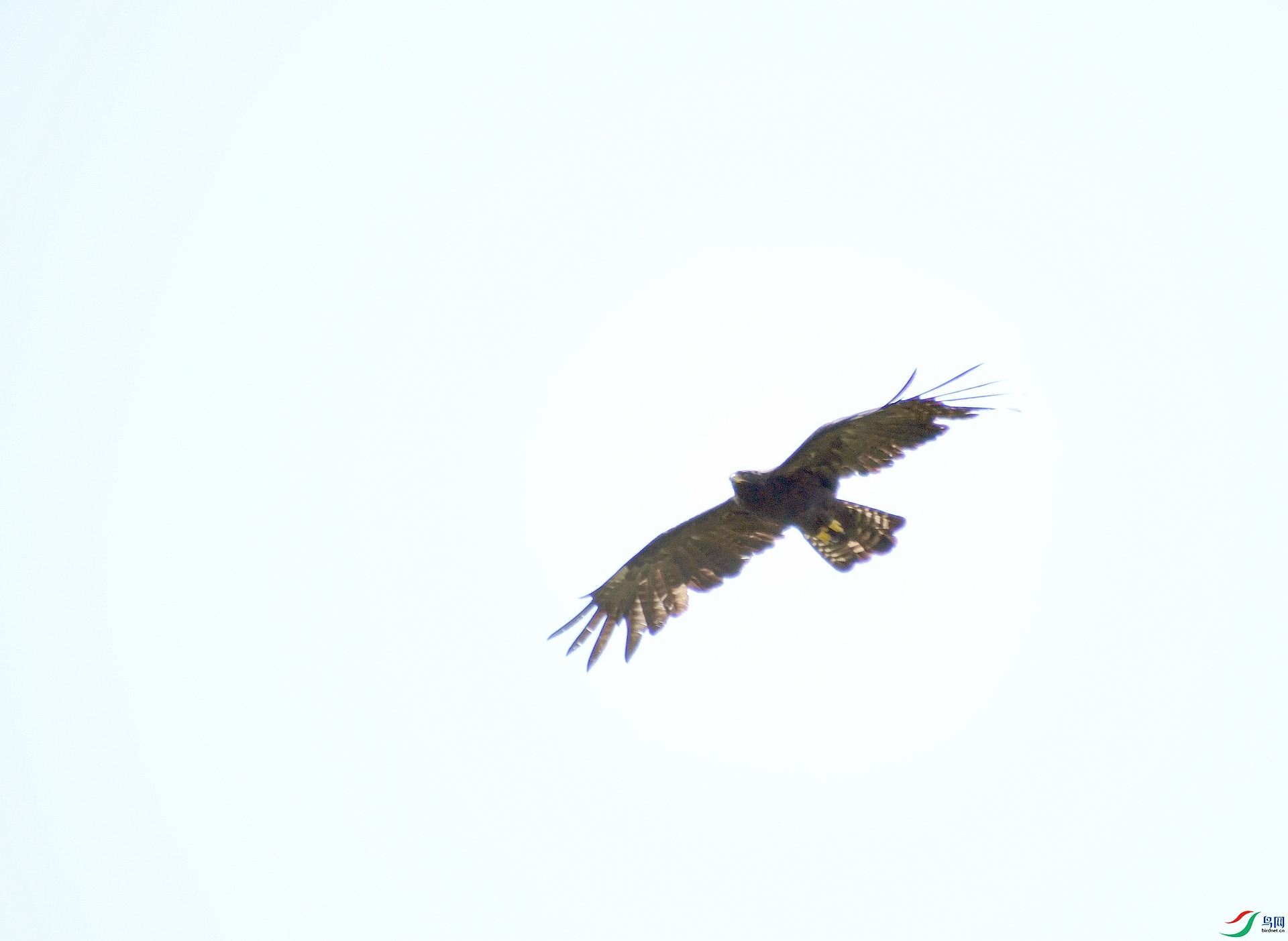 DSC_8829.jpg